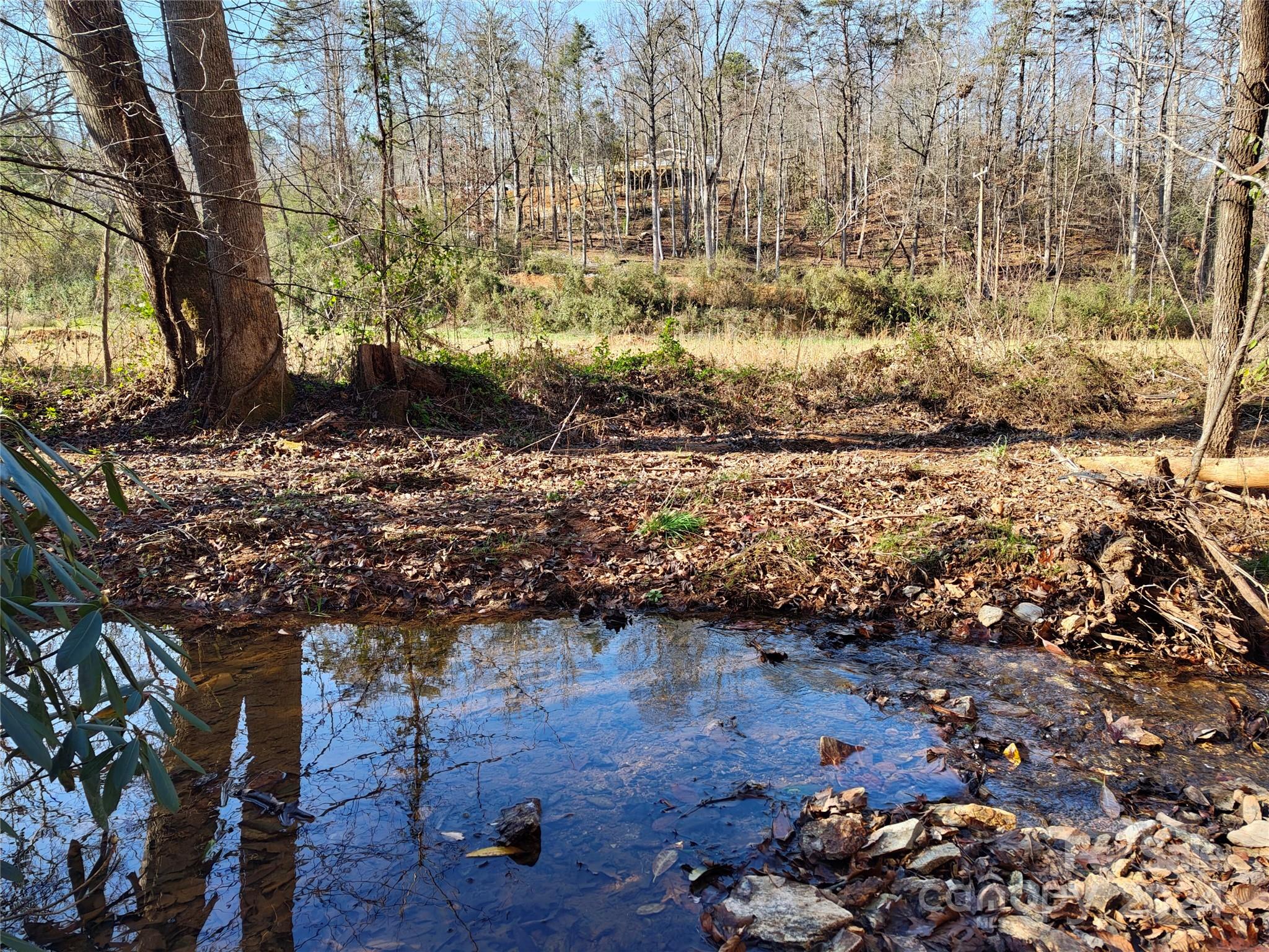 Tbd Moffitt Branch Road Old Fort, NC 28762 - Photo 7 of 16 Gallery Image 7