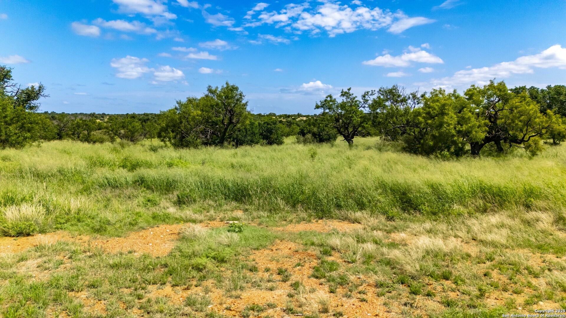 a view of a green yard