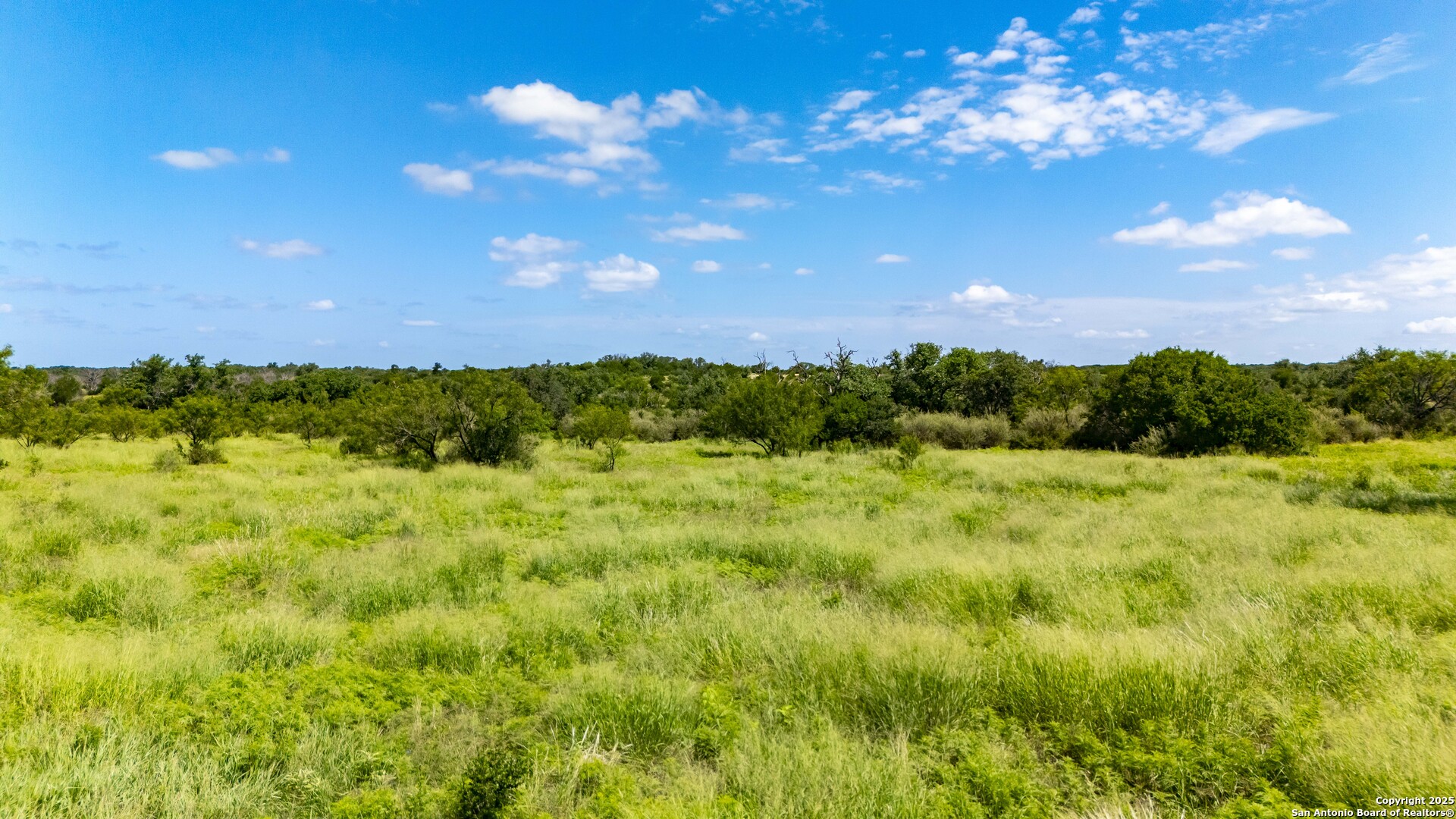 Lot 4 Jack Rabbit Road Harper, TX 78631 - Photo 13 of 19 a view of a big yard with lots of green space