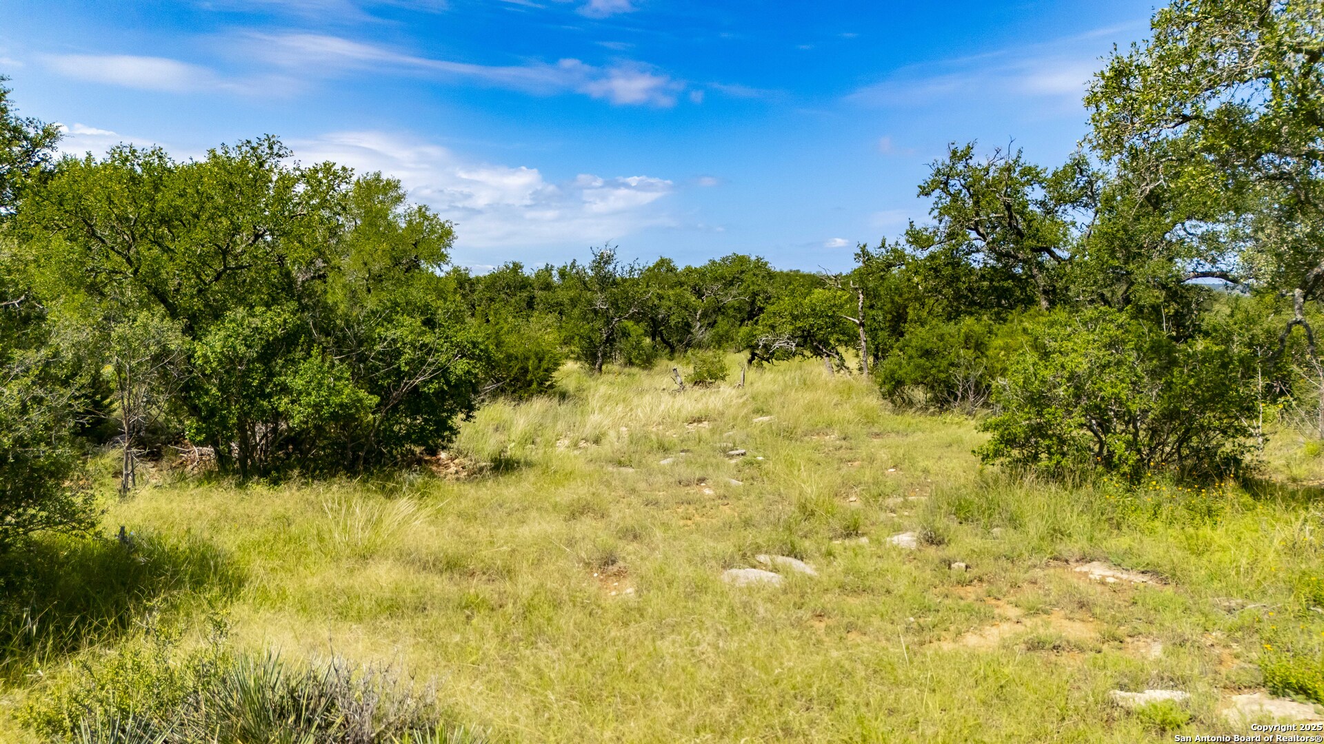 Lot 4 Jack Rabbit Road Harper, TX 78631 - Photo 15 of 19 a view of a yard with a tree