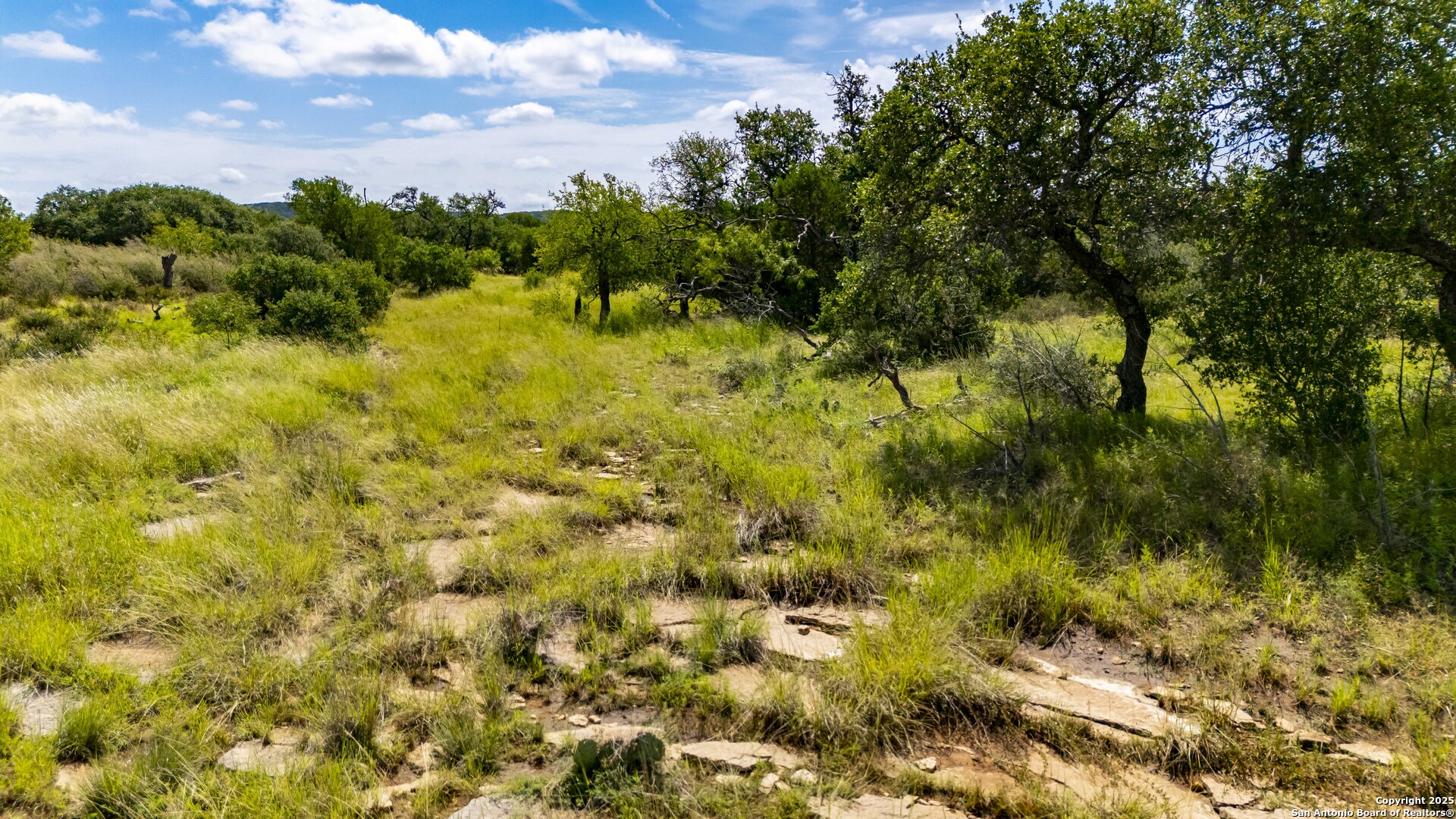 Lot 4 Jack Rabbit Road Harper, TX 78631 - Photo 18 of 19 a view of a yard with a tree