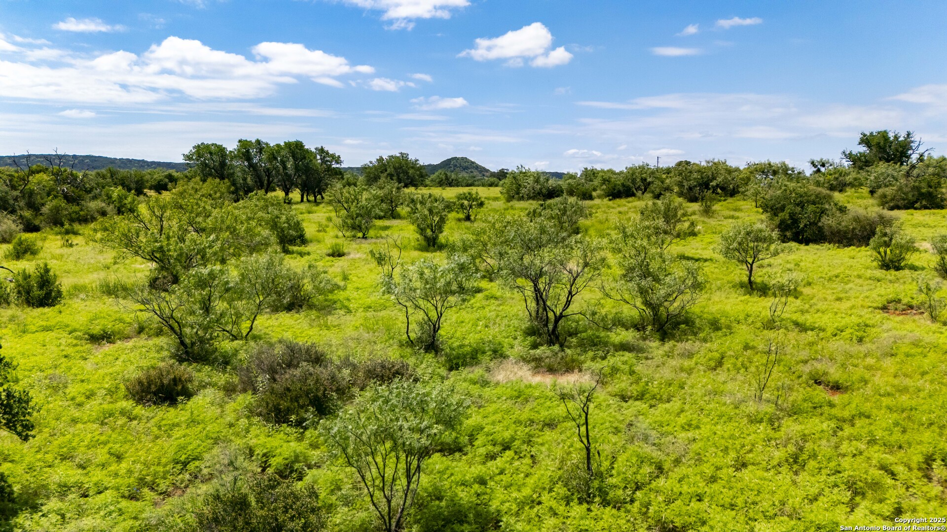 Lot 4 Jack Rabbit Road Harper, TX 78631 - Photo 19 of 19 a view of a bunch of trees