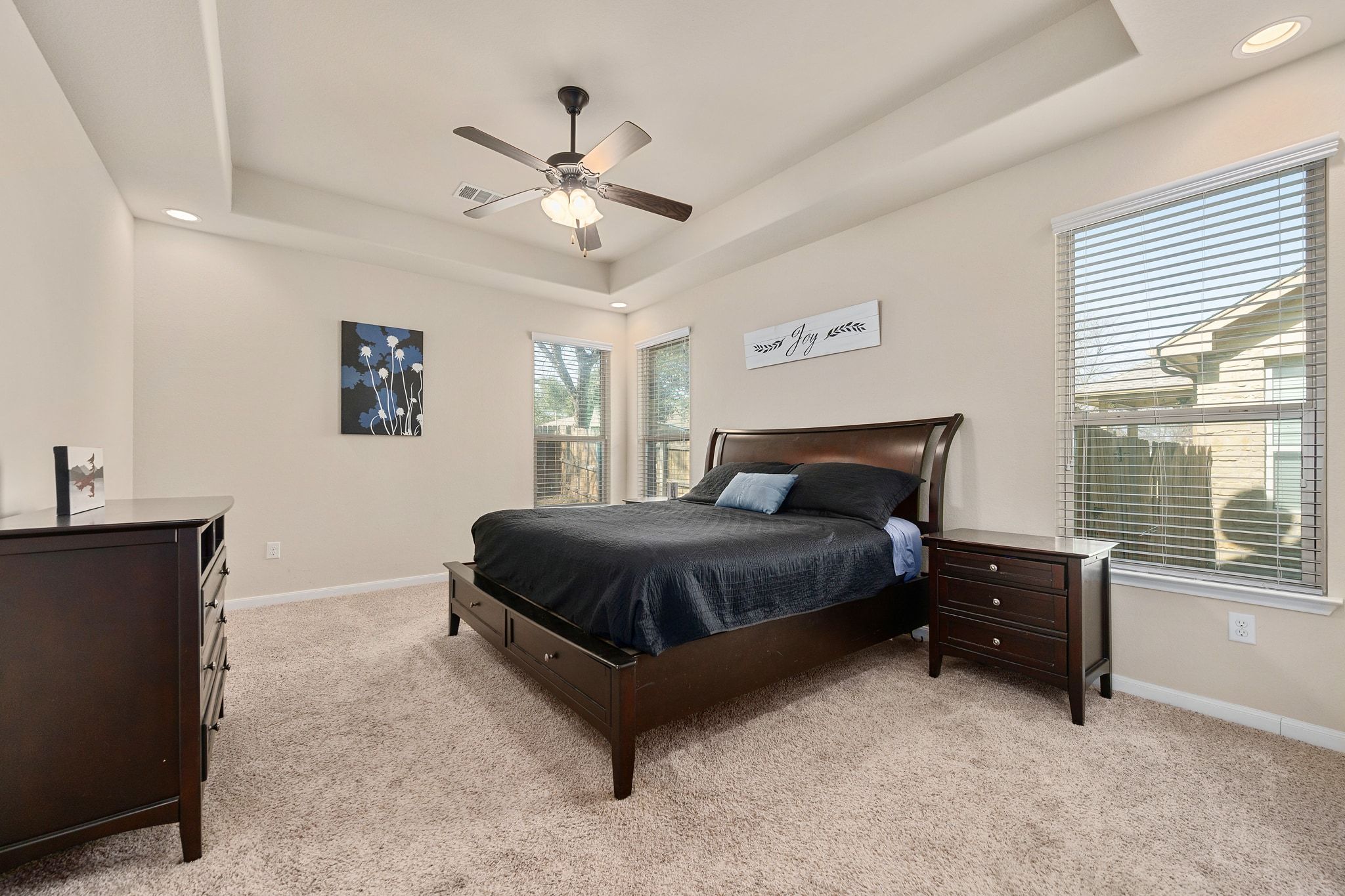 738 Palo Duro Loop Round Rock, TX 78664 - Photo 12 of 32 The main level primary bedroom features a tray ceiling and numerous windows for natural light.