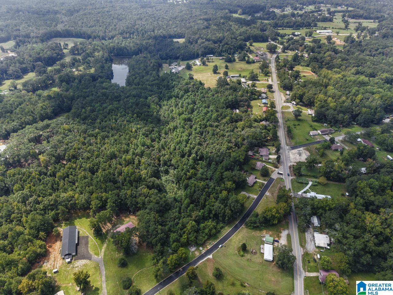 0 Sycamore Street, Unit 1 Jemison, AL 35085 - Photo 20 of 25
