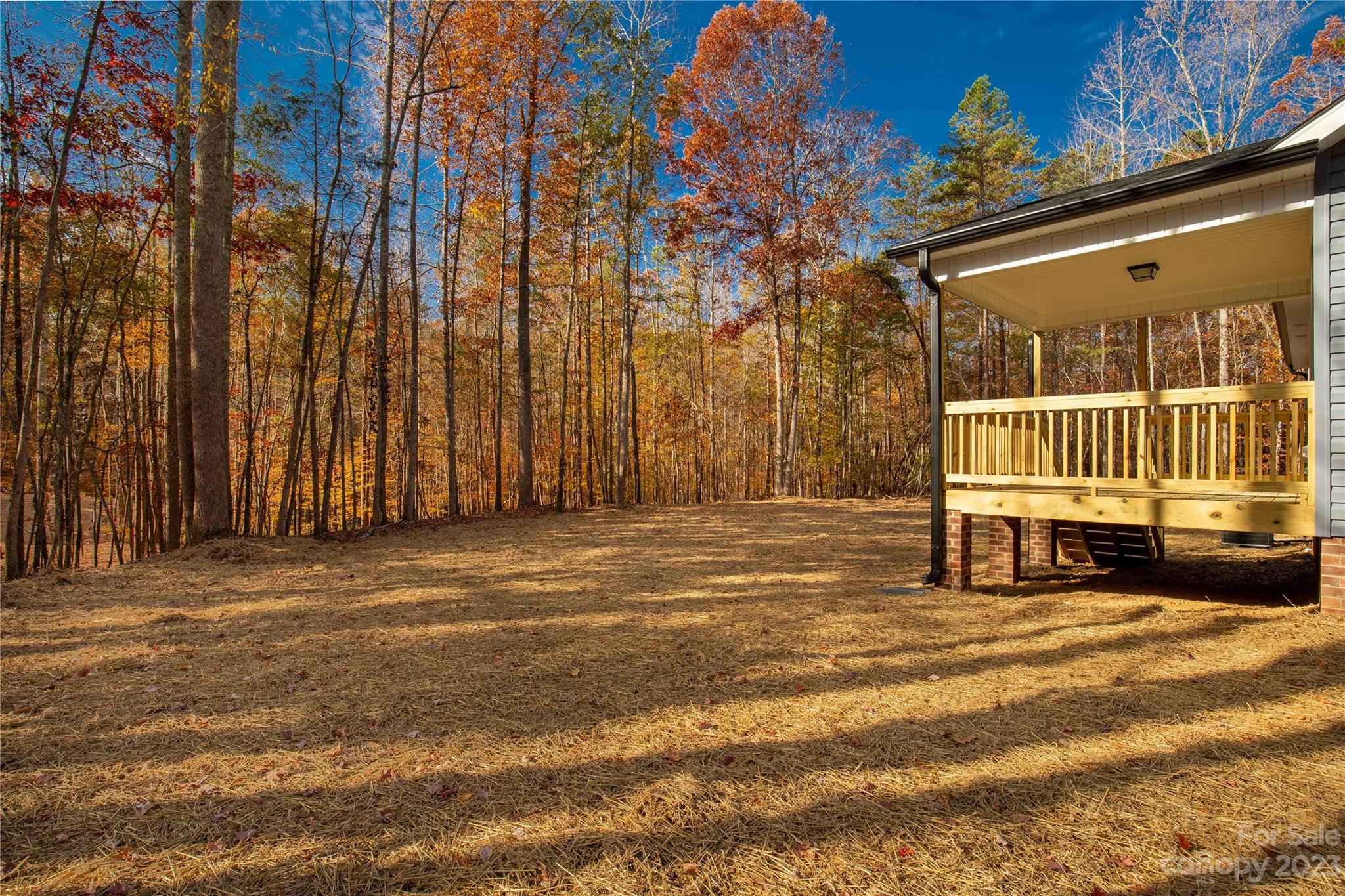 1191 Legion Road Hickory Grove, SC 29717 - Photo 5 of 32 a view of a door in the backyard
