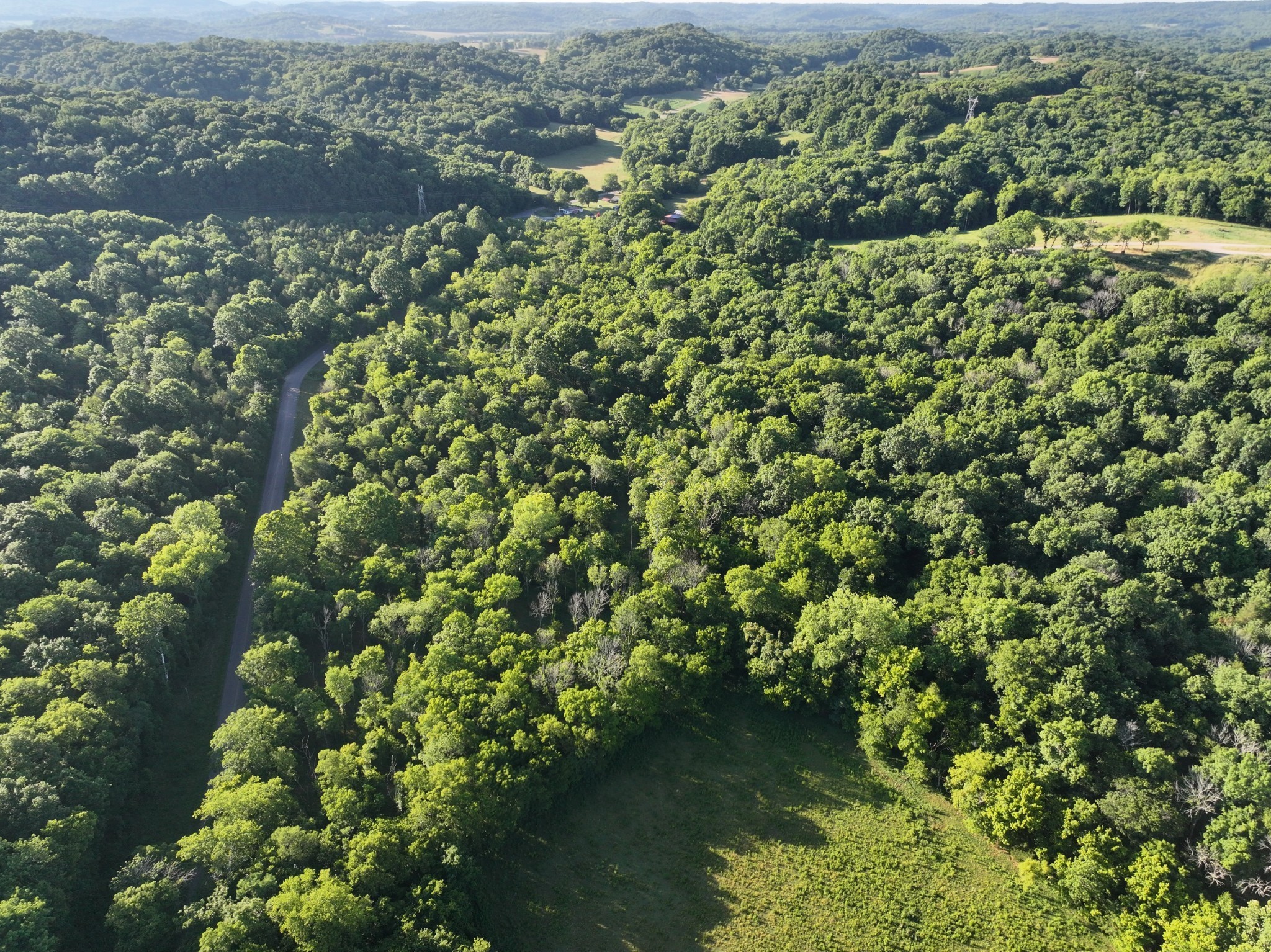 4 Reece Church Road Columbia, TN 38401 - Photo 1 of 4 a view of a lake with a tree