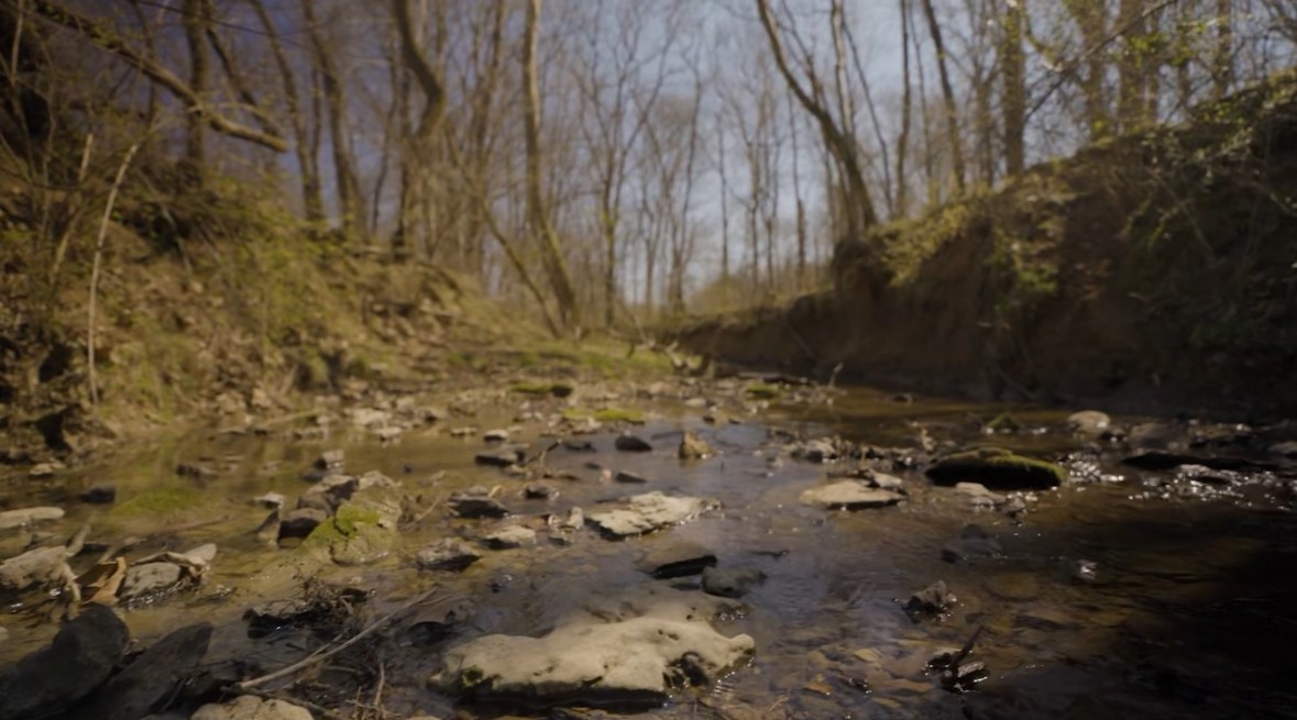 4 Reece Church Road Columbia, TN 38401 - Photo 4 of 4 a view of outdoor space