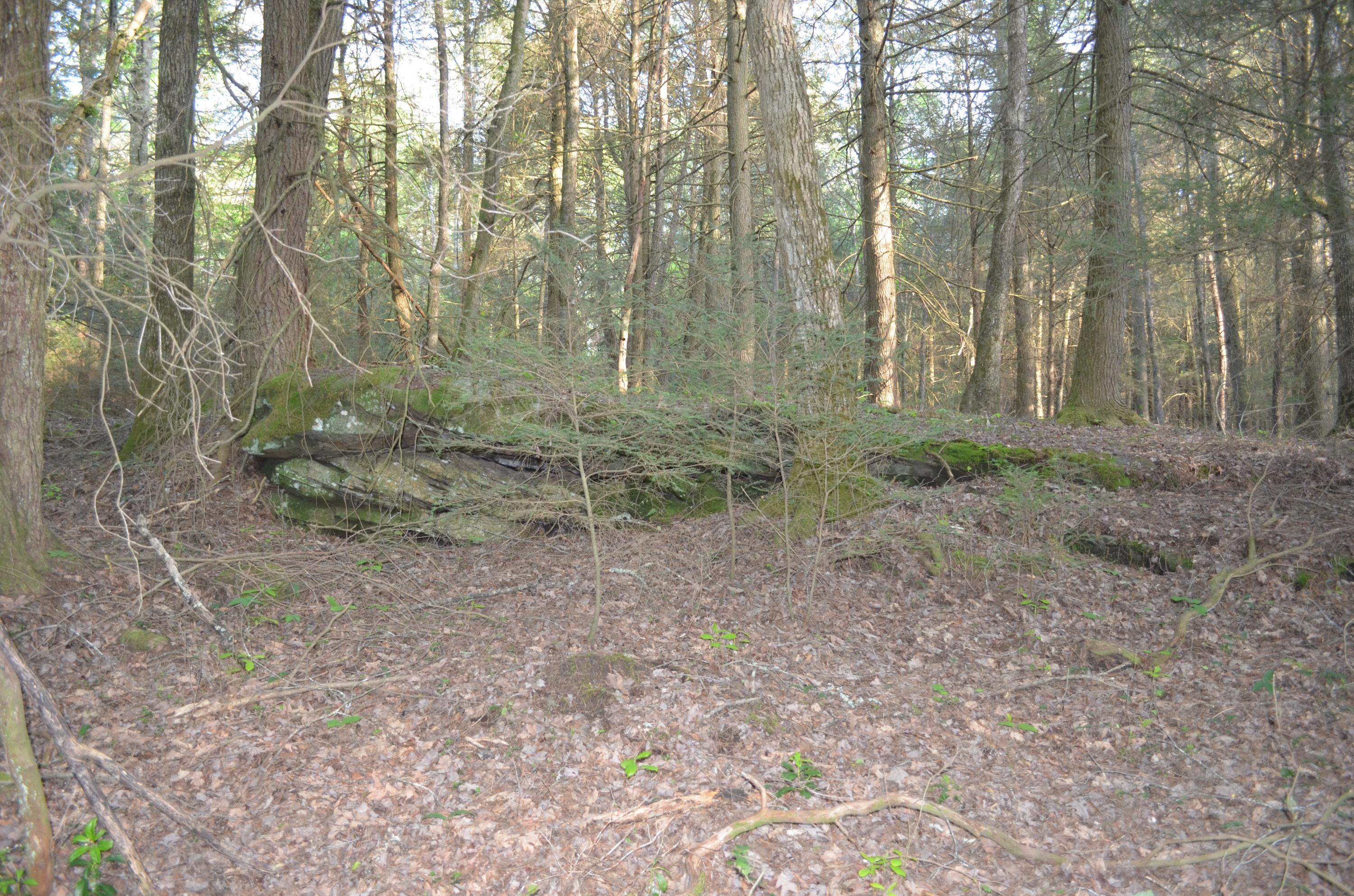 Off Hatler Road Crossville, TN 38555 - Photo 2 of 23 DSC_0268