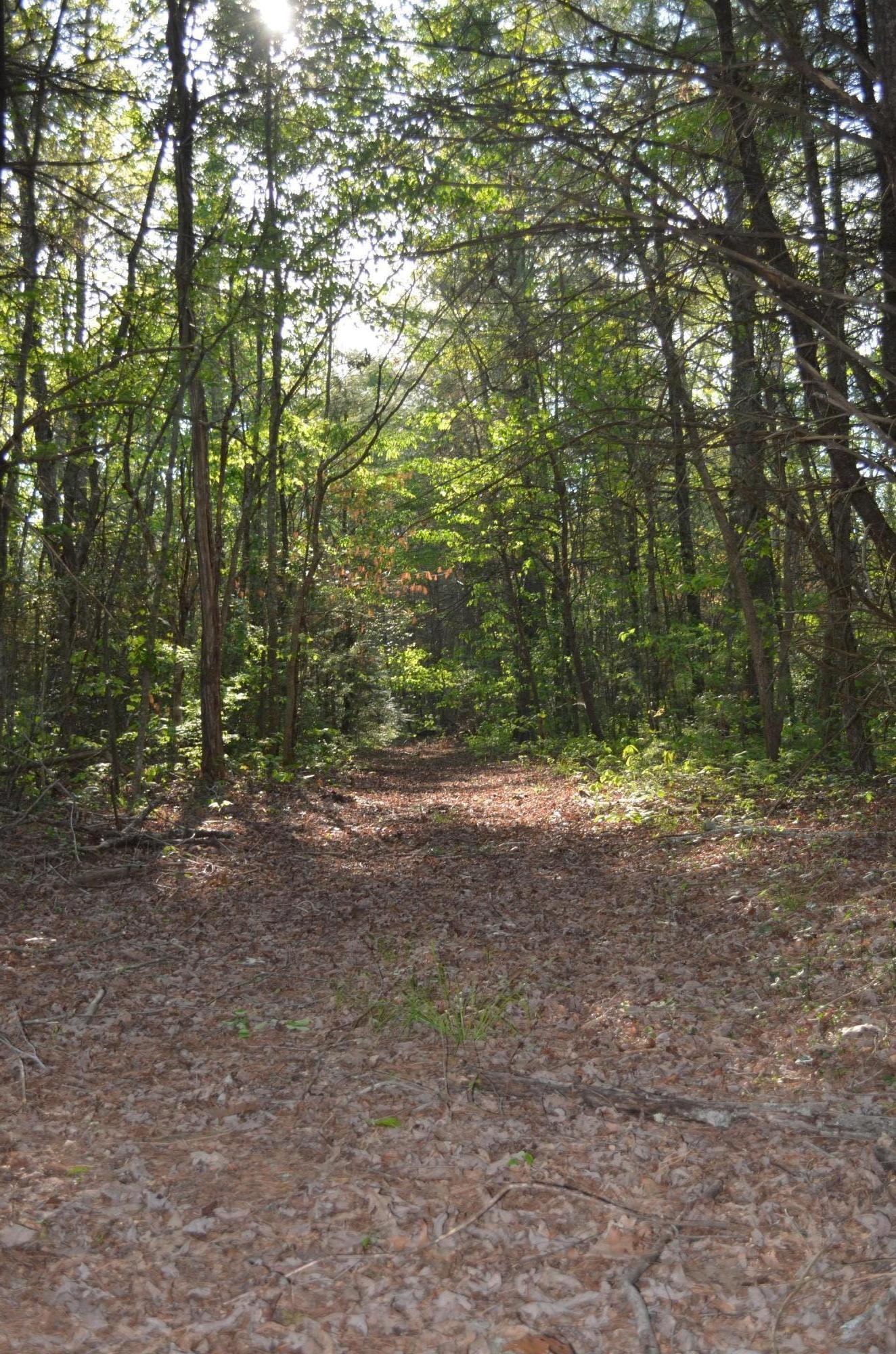 Off Hatler Road Crossville, TN 38555 - Photo 11 of 23 DSC_0227