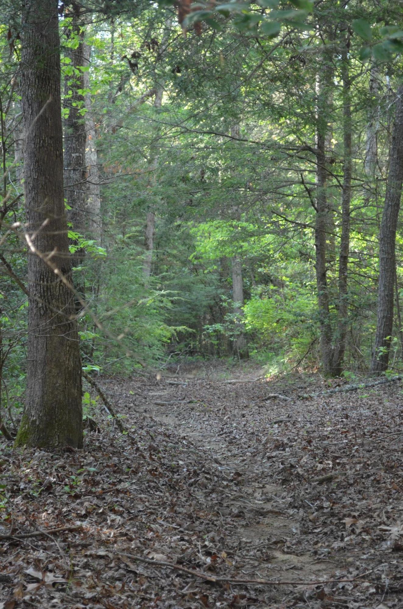 Off Hatler Road Crossville, TN 38555 - Photo 12 of 23 DSC_0239