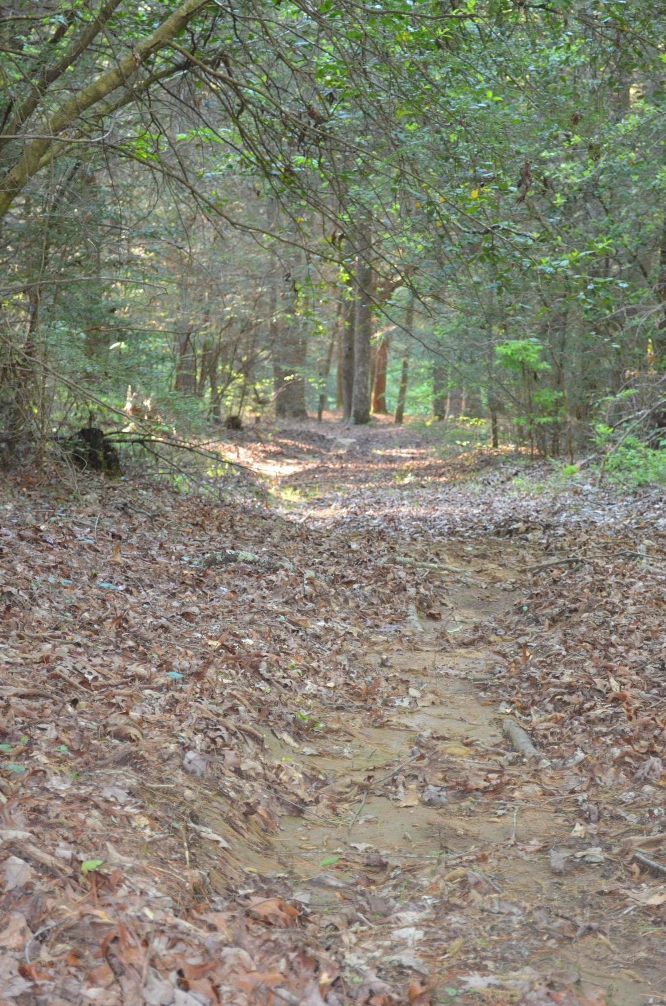 Off Hatler Road Crossville, TN 38555 - Photo 13 of 23 DSC_0246