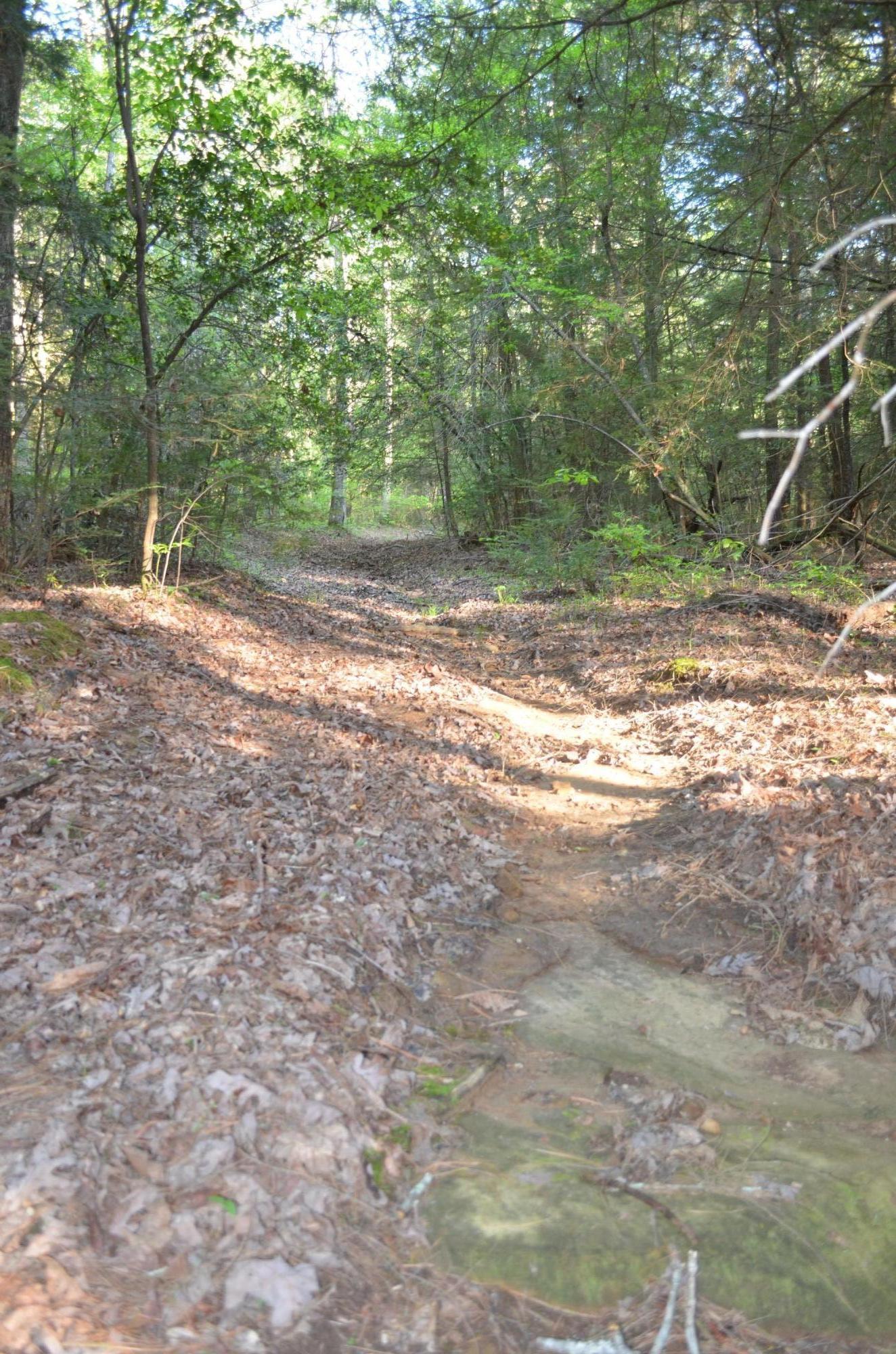 Off Hatler Road Crossville, TN 38555 - Photo 15 of 23 DSC_0255