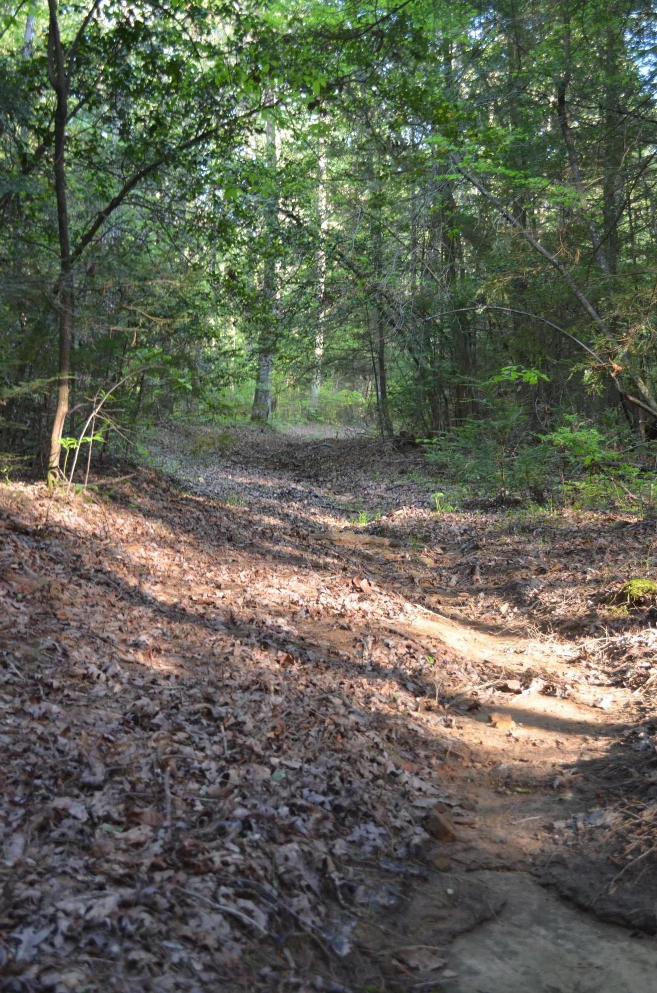 Off Hatler Road Crossville, TN 38555 - Photo 16 of 23 DSC_0257