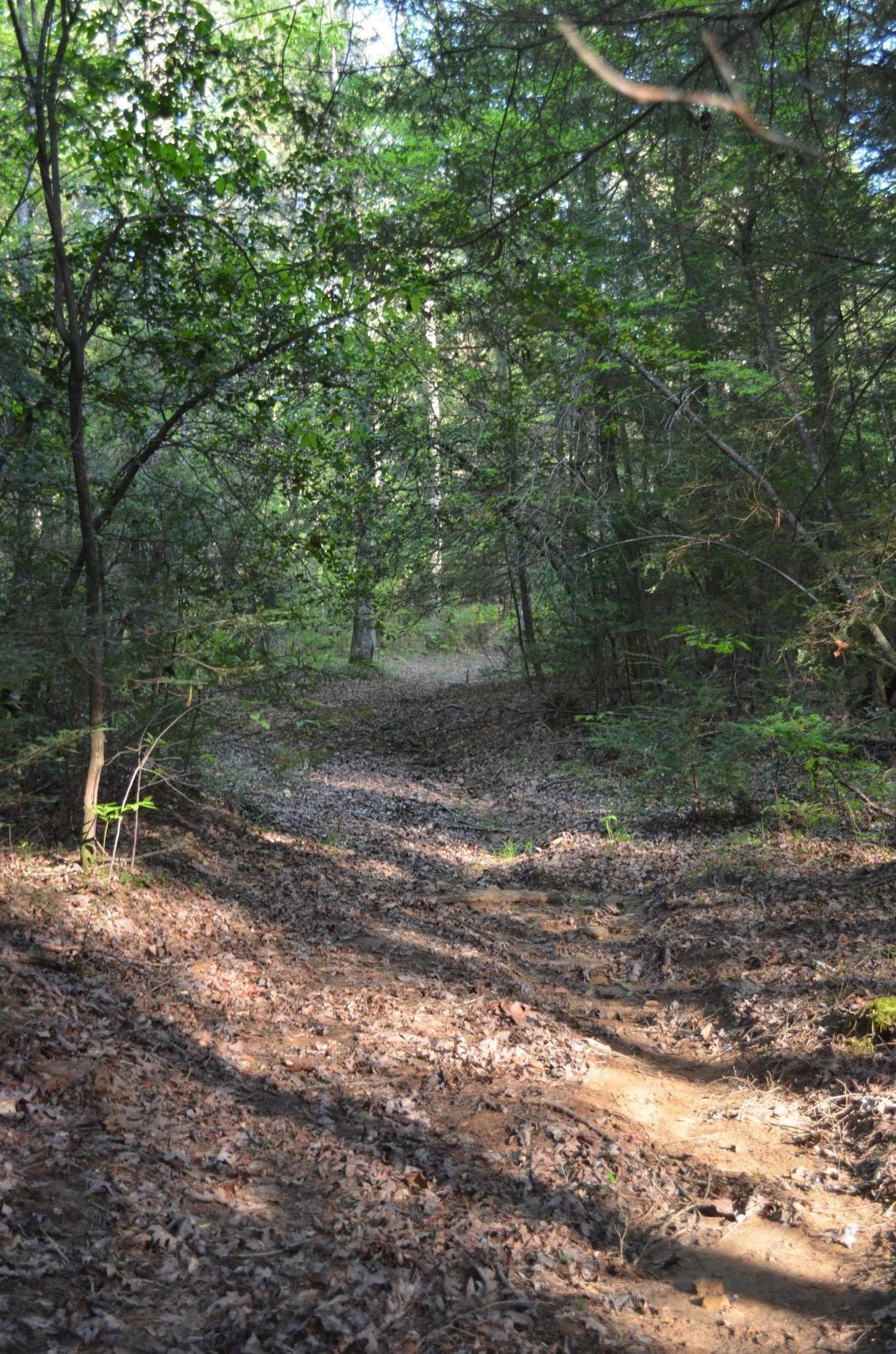 Off Hatler Road Crossville, TN 38555 - Photo 17 of 23 DSC_0258