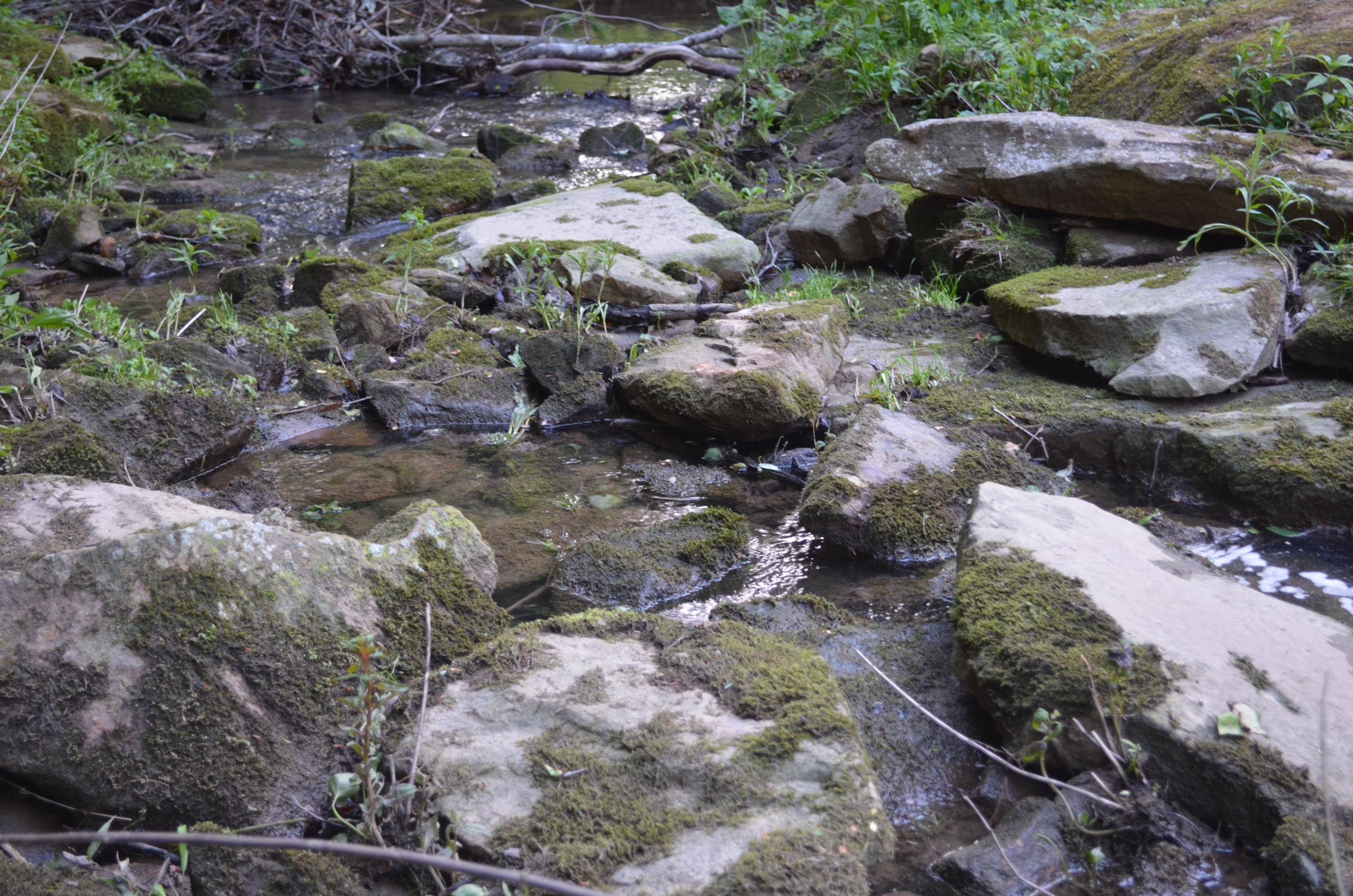 Off Hatler Road Crossville, TN 38555 - Photo 19 of 23 DSC_0278