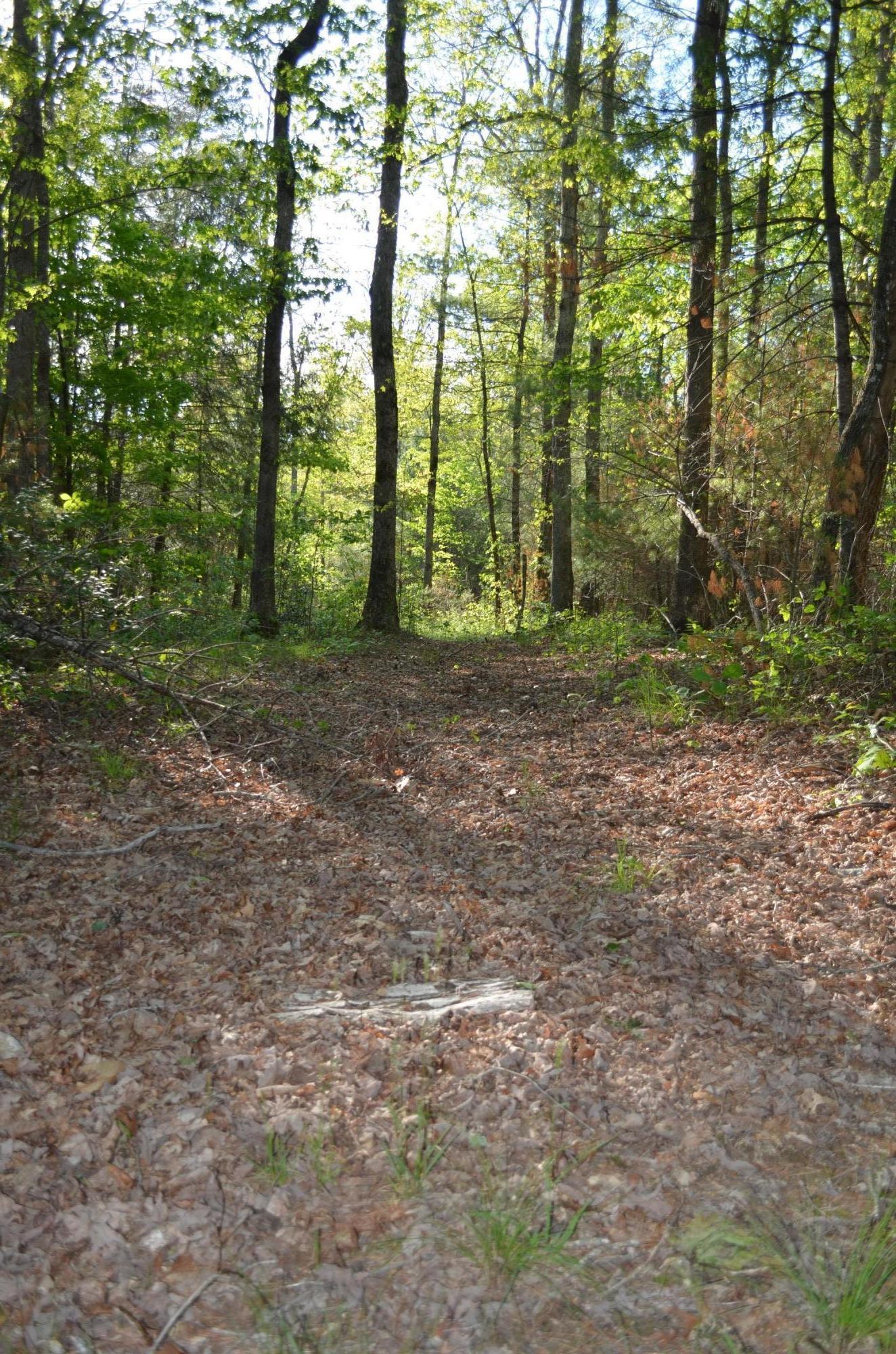 Off Hatler Road Crossville, TN 38555 - Photo 3 of 23 DSC_0190