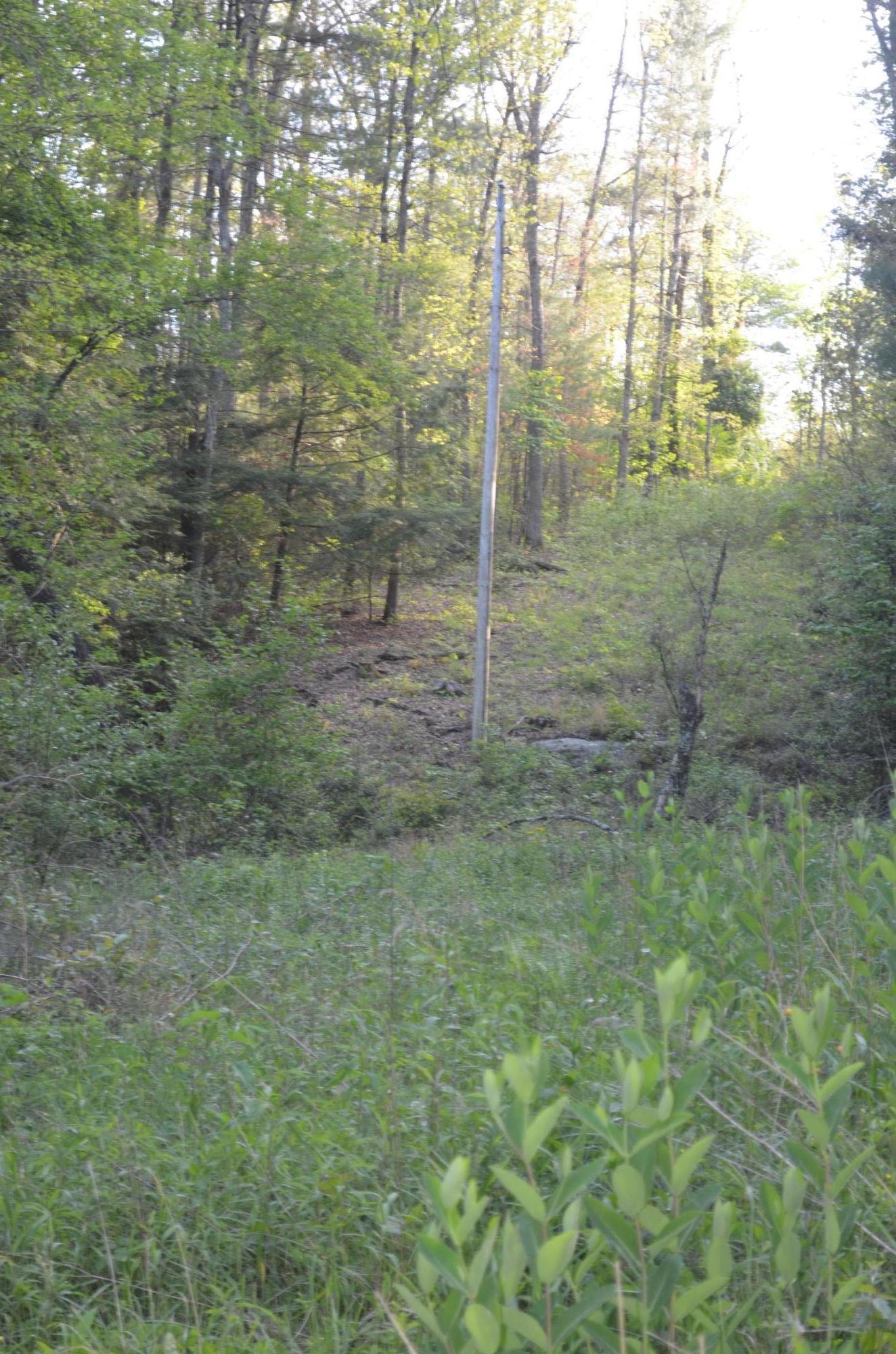 Off Hatler Road Crossville, TN 38555 - Photo 22 of 23 DSC_0286