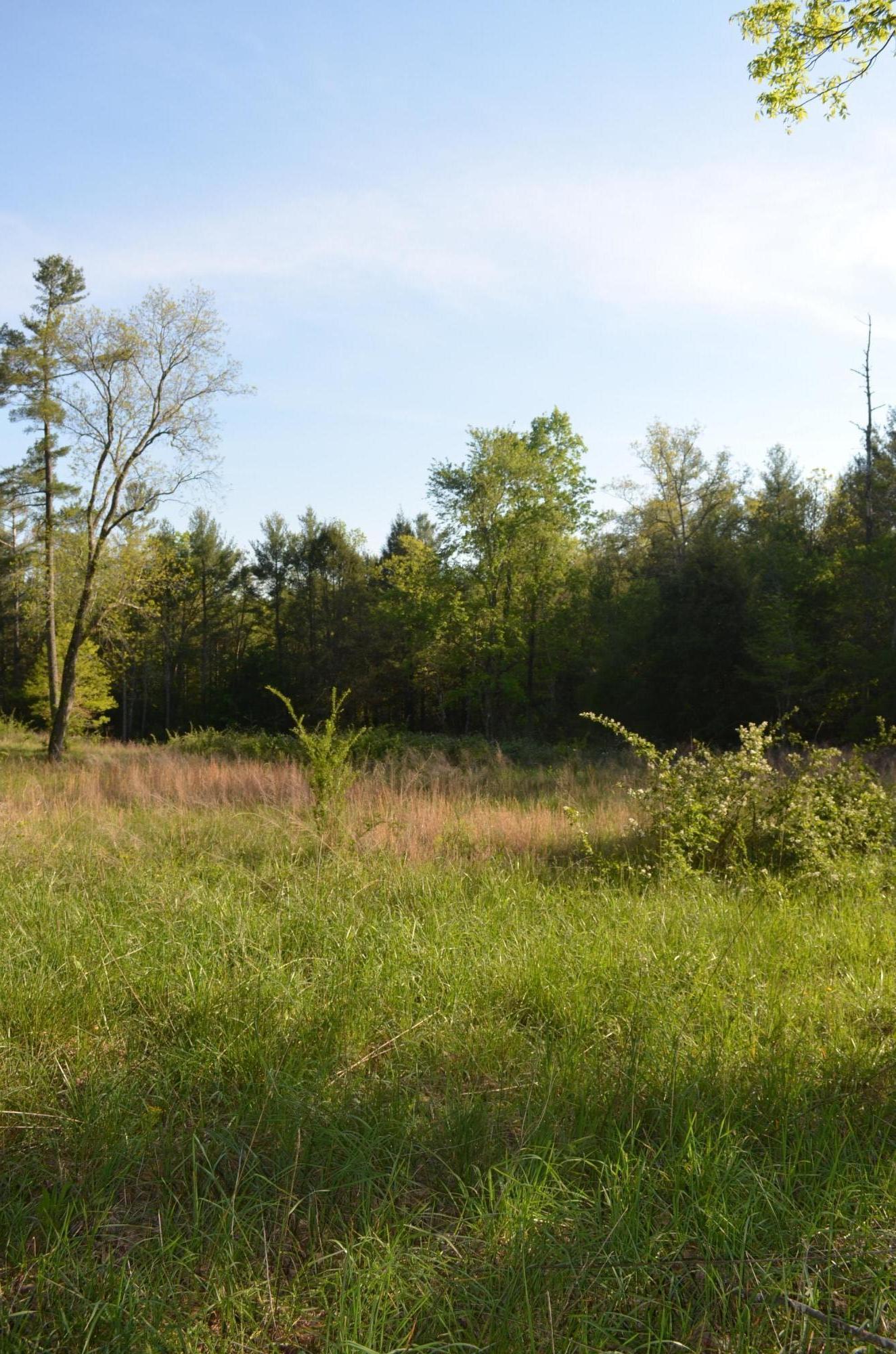 Off Hatler Road Crossville, TN 38555 - Photo 4 of 23 DSC_0199