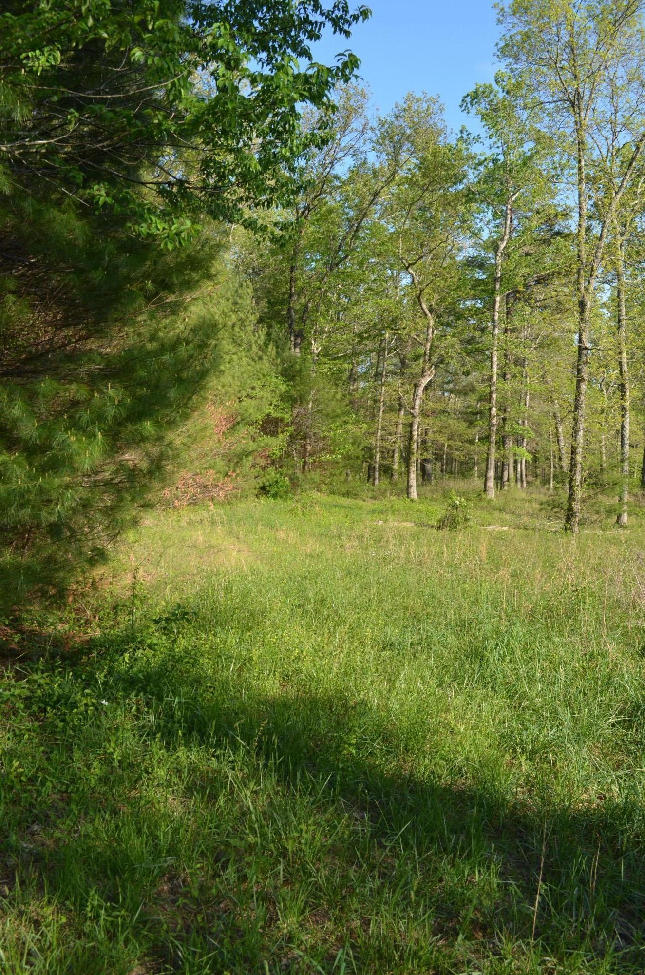 Off Hatler Road Crossville, TN 38555 - Photo 6 of 23 DSC_0197
