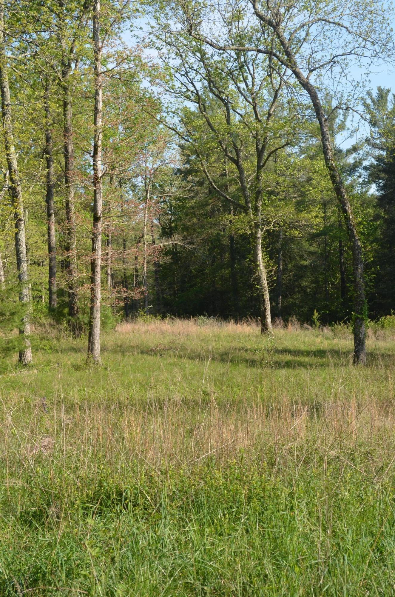 Off Hatler Road Crossville, TN 38555 - Photo 7 of 23 DSC_0198