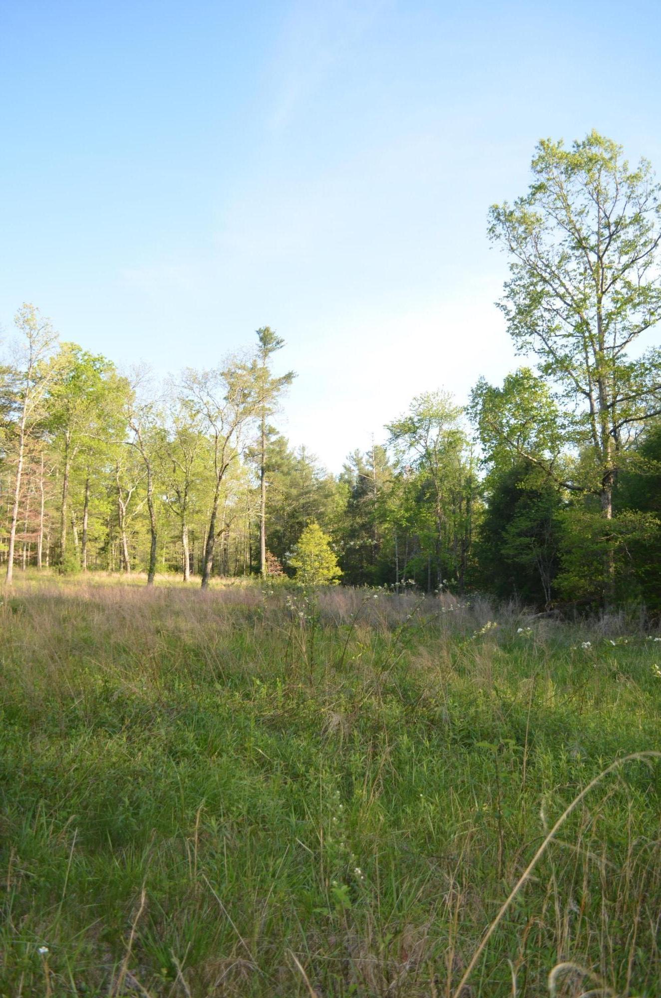Off Hatler Road Crossville, TN 38555 - Photo 8 of 23 DSC_0207