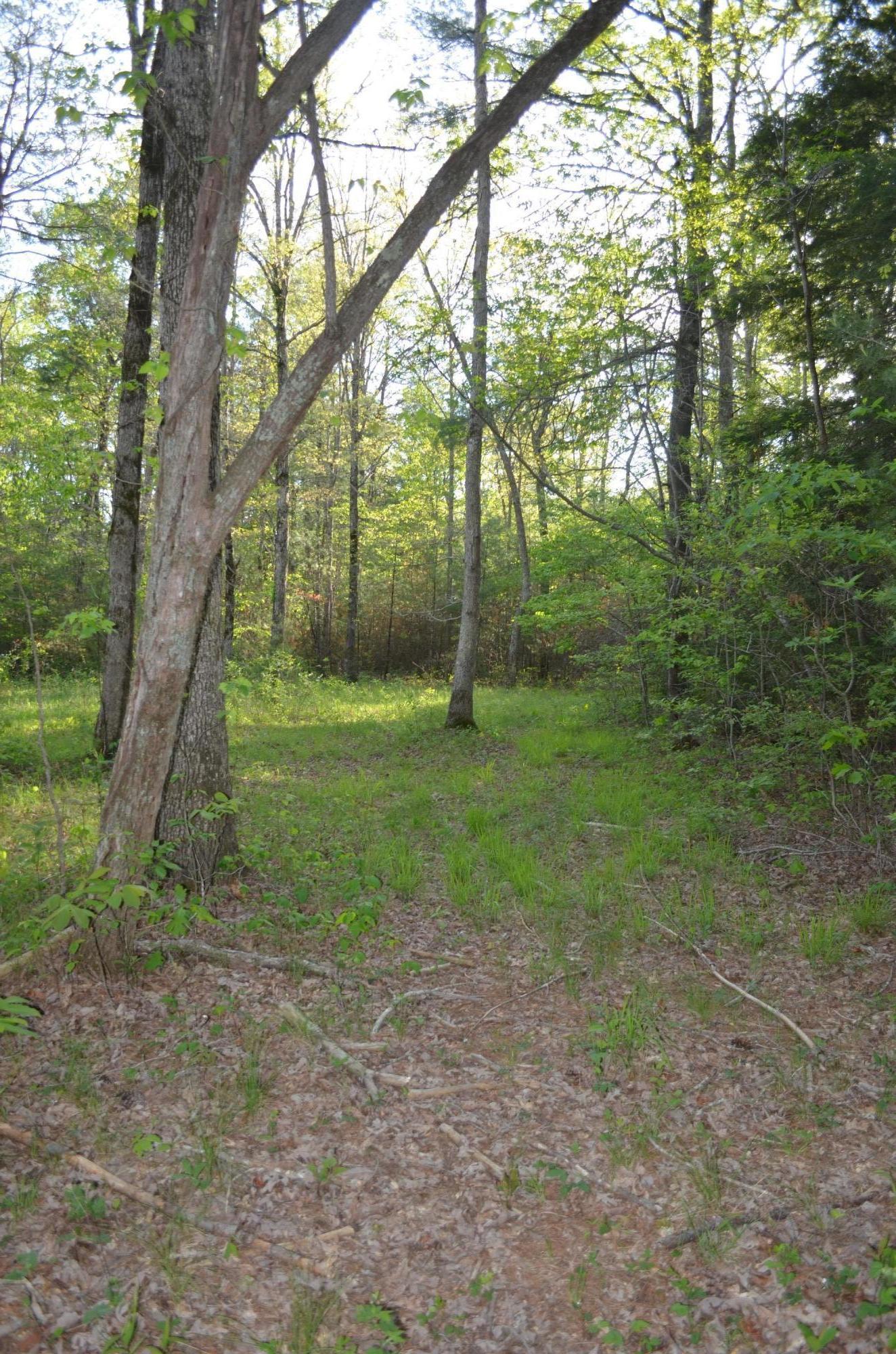 Off Hatler Road Crossville, TN 38555 - Photo 9 of 23 DSC_0222