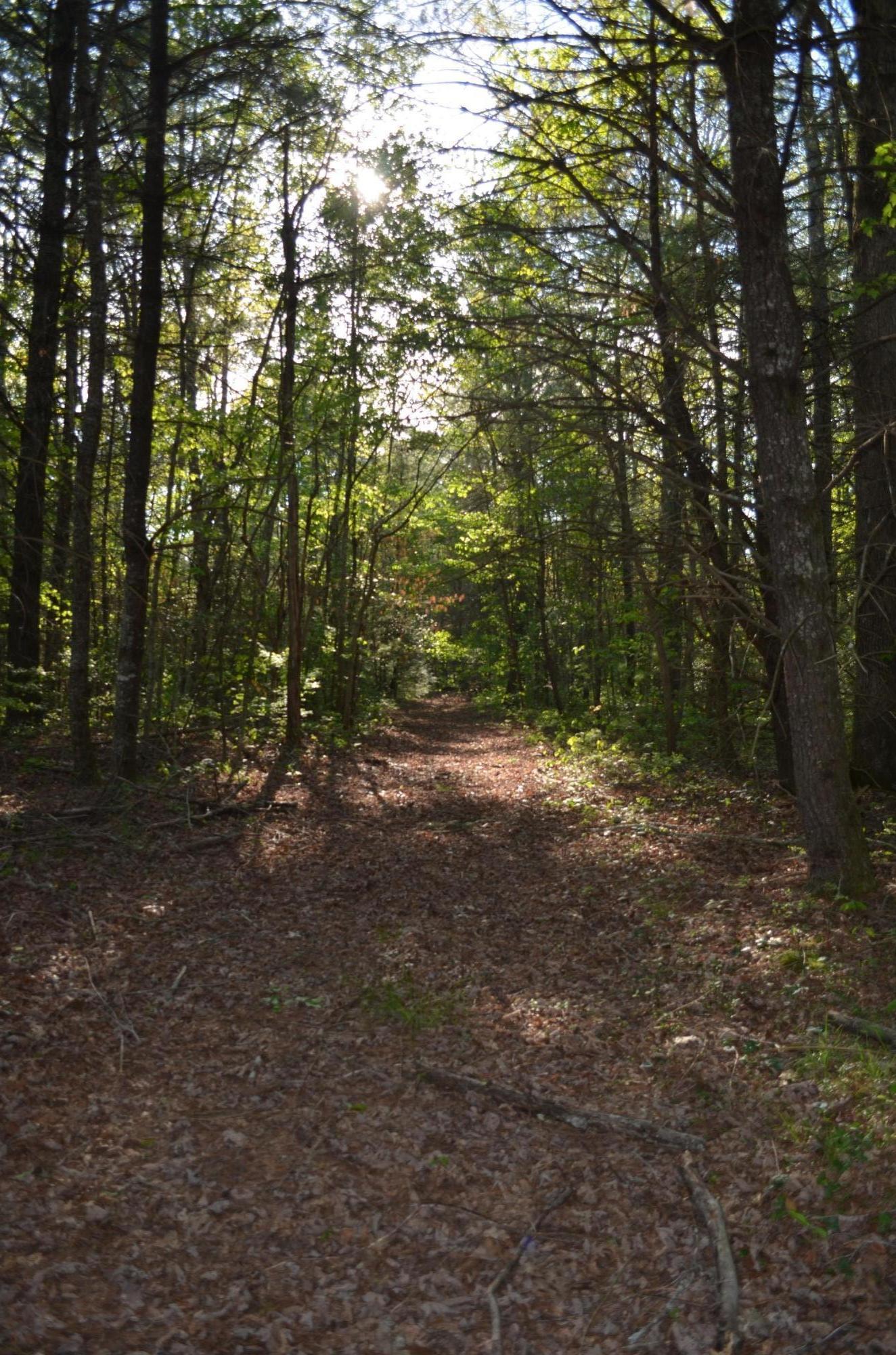 Off Hatler Road Crossville, TN 38555 - Photo 10 of 23 DSC_0225