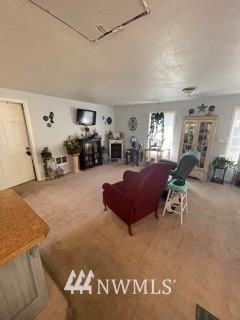 442 Ward Creek Road Raymond, WA 98577 - Photo 3 of 23 Gallery Image 3