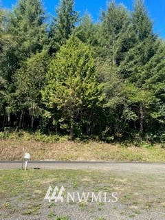 442 Ward Creek Road Raymond, WA 98577 - Photo 23 of 23 Gallery Image 23