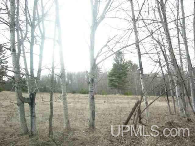 Lot J North Entry Road Chassell, MI 49916 - Photo 4 of 14 Gallery Image 4