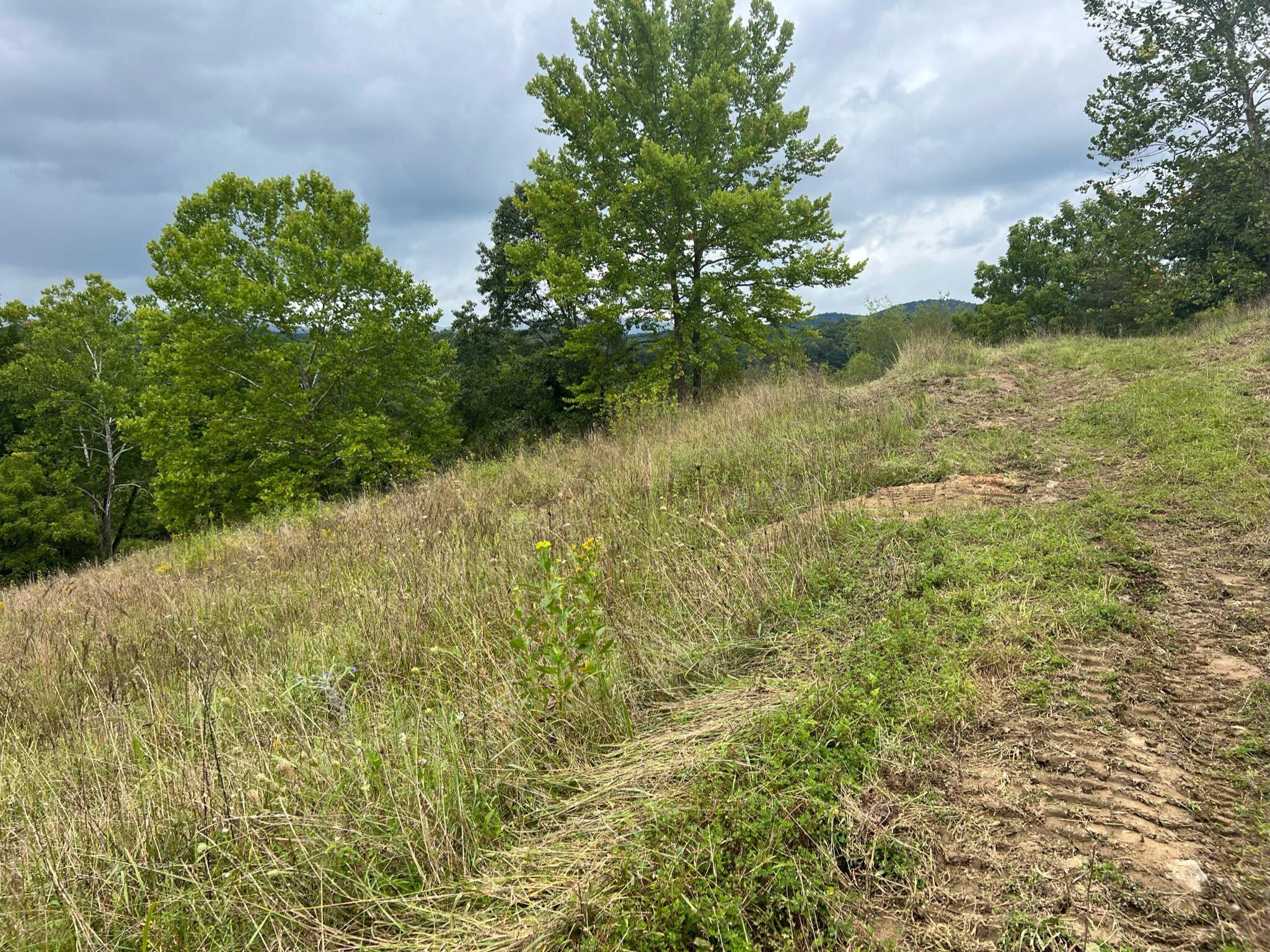 Wayside Creamery Road Pence Springs, WV 24962 - Photo 5 of 28 Gallery Image 5