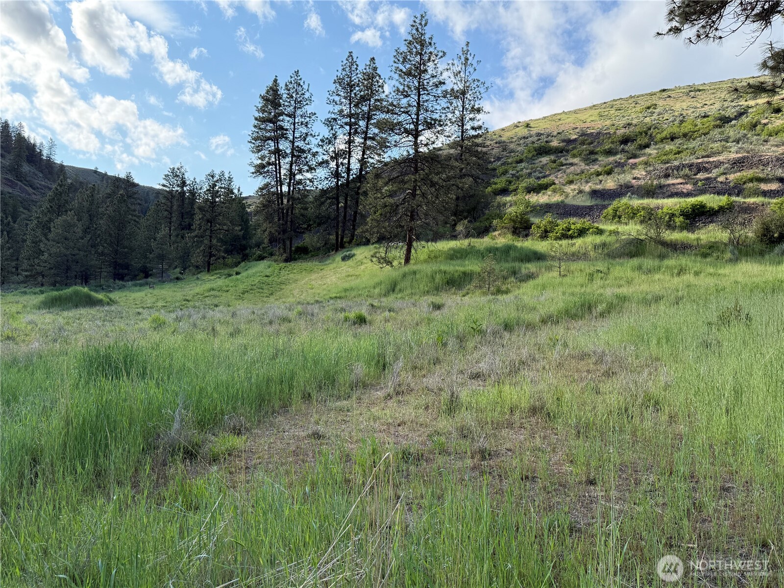 37235 Redwine Canyon Road Creston, WA 99117 - Photo 7 of 23 Gallery Image 7