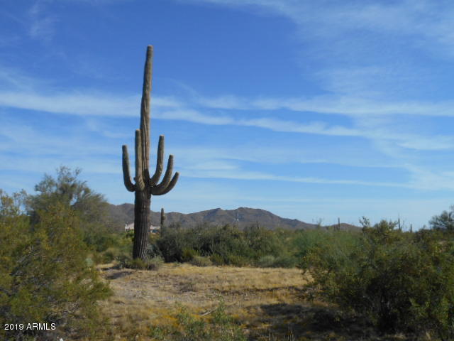 16628 West Quail Run Road Surprise, AZ 85387 - Photo 36 of 39 Quail Run 002