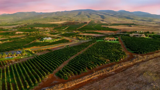 $1,499,000 | 517 Oka Kope Street, Lahaina, HI 96761