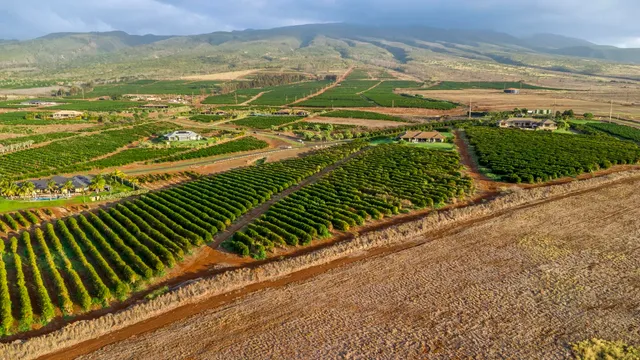 $1,499,000 | 517 Oka Kope Street, Lahaina, HI 96761