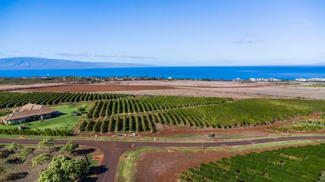 $1,499,000 | 517 Oka Kope Street, Lahaina, HI 96761
