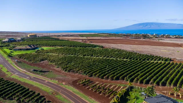 $1,499,000 | 517 Oka Kope Street, Lahaina, HI 96761