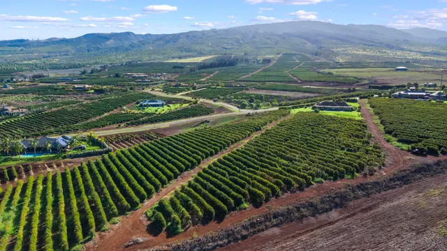 $1,499,000 | 517 Oka Kope Street, Lahaina, HI 96761