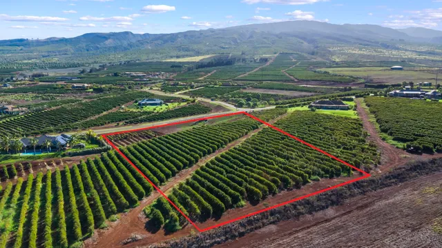 $1,499,000 | 517 Oka Kope Street, Lahaina, HI 96761