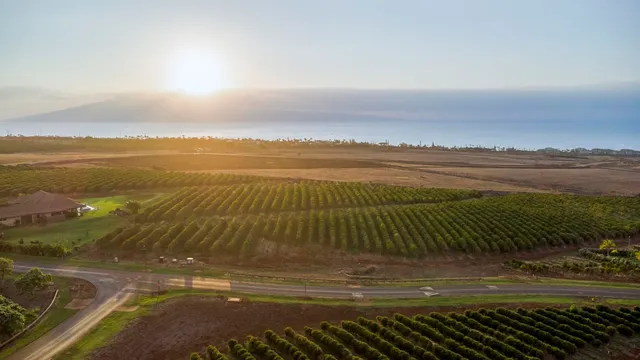 $1,499,000 | 517 Oka Kope Street, Lahaina, HI 96761