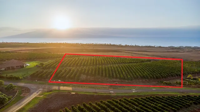 $1,499,000 | 517 Oka Kope Street, Lahaina, HI 96761