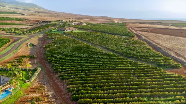 $1,499,000 | 517 Oka Kope Street, Lahaina, HI 96761