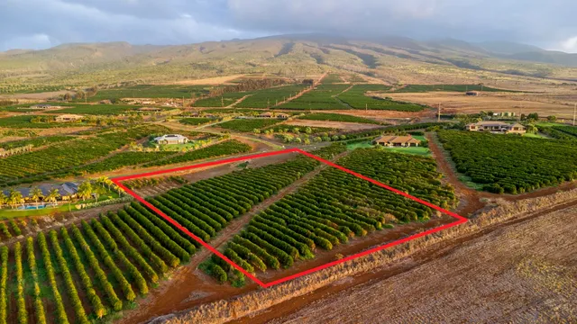 $1,499,000 | 517 Oka Kope Street, Lahaina, HI 96761