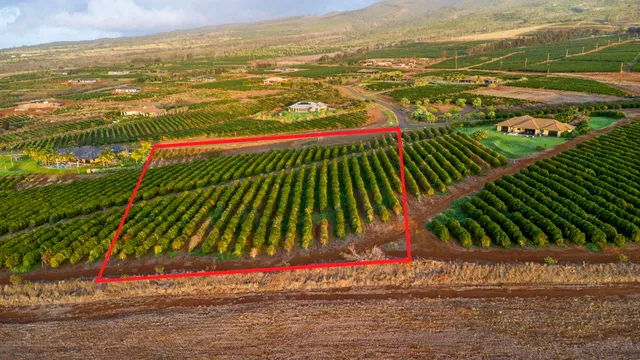 $1,499,000 | 517 Oka Kope Street, Lahaina, HI 96761