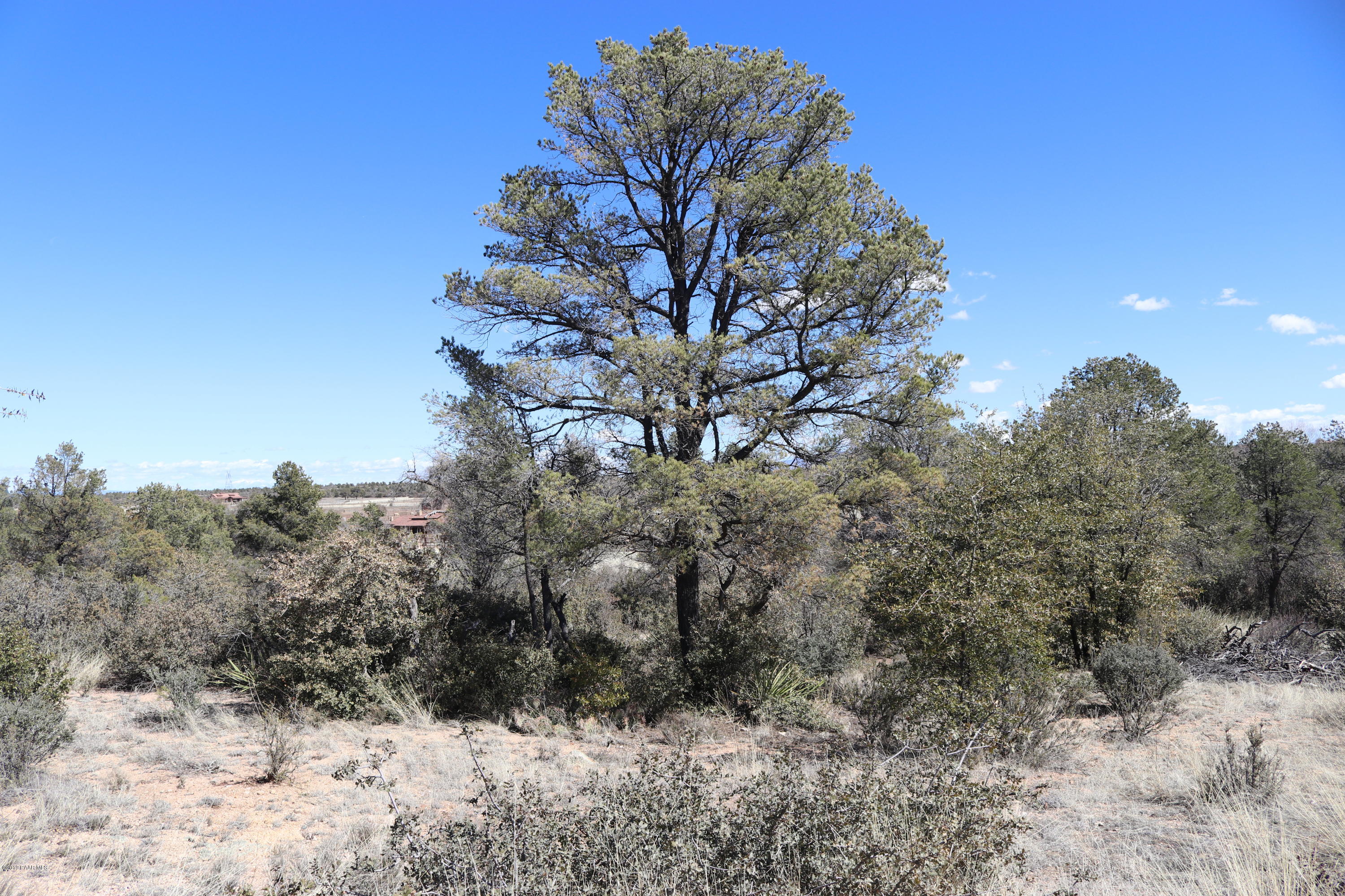 4100 Fort Bridger Road Prescott, AZ 86305 - Photo 3 of 24 IMG_2641