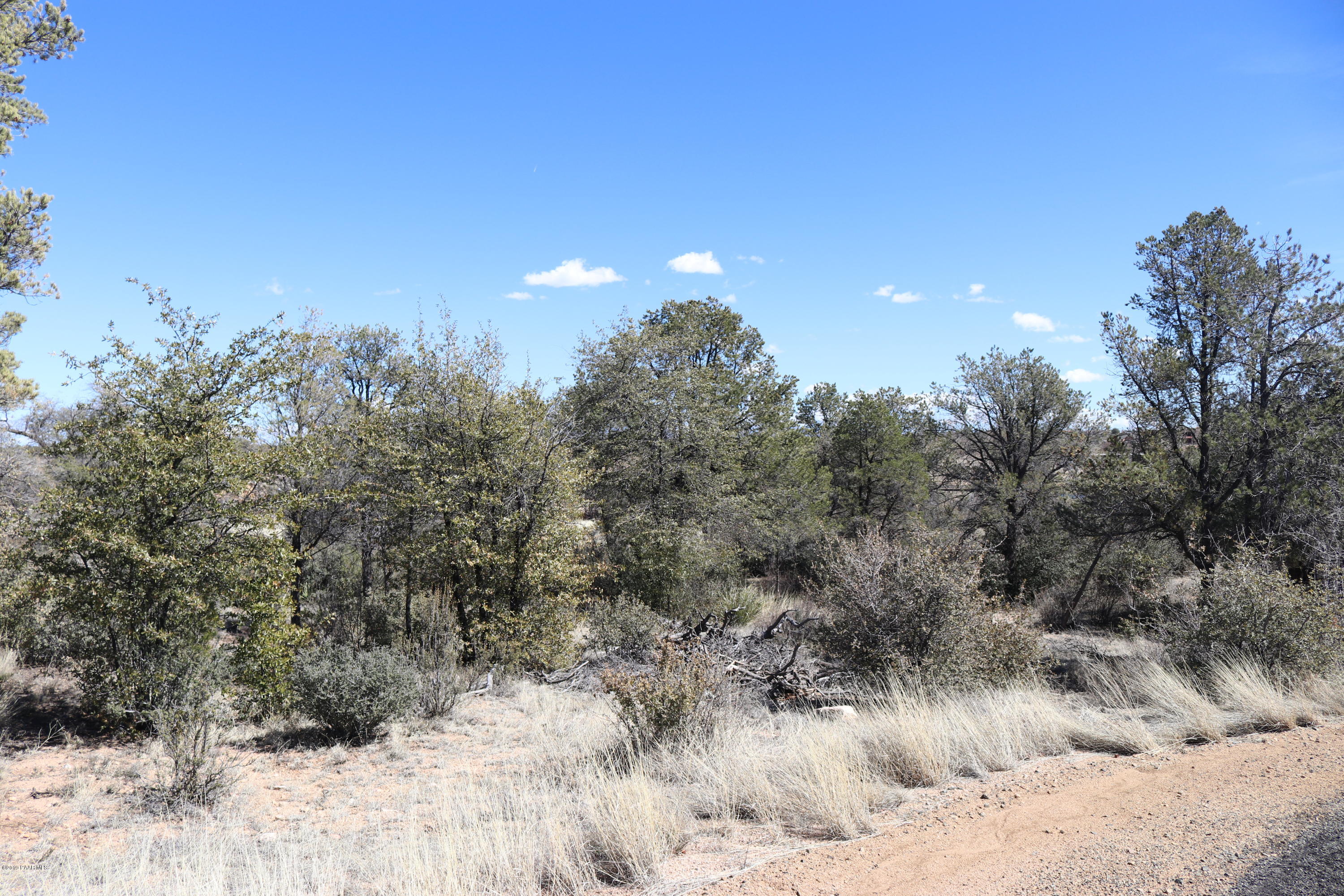 4100 Fort Bridger Road Prescott, AZ 86305 - Photo 4 of 24 IMG_2642