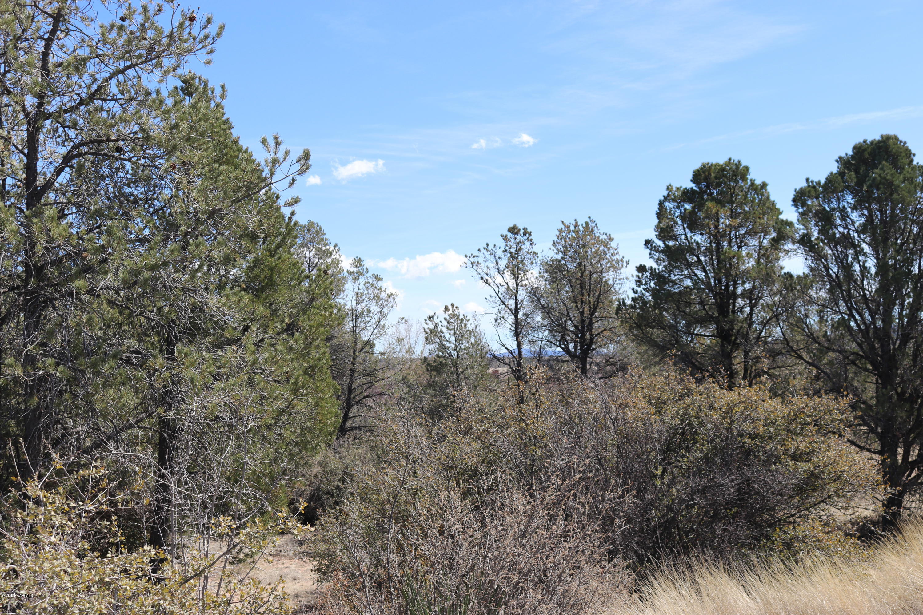 4100 Fort Bridger Road Prescott, AZ 86305 - Photo 6 of 24 IMG_2644