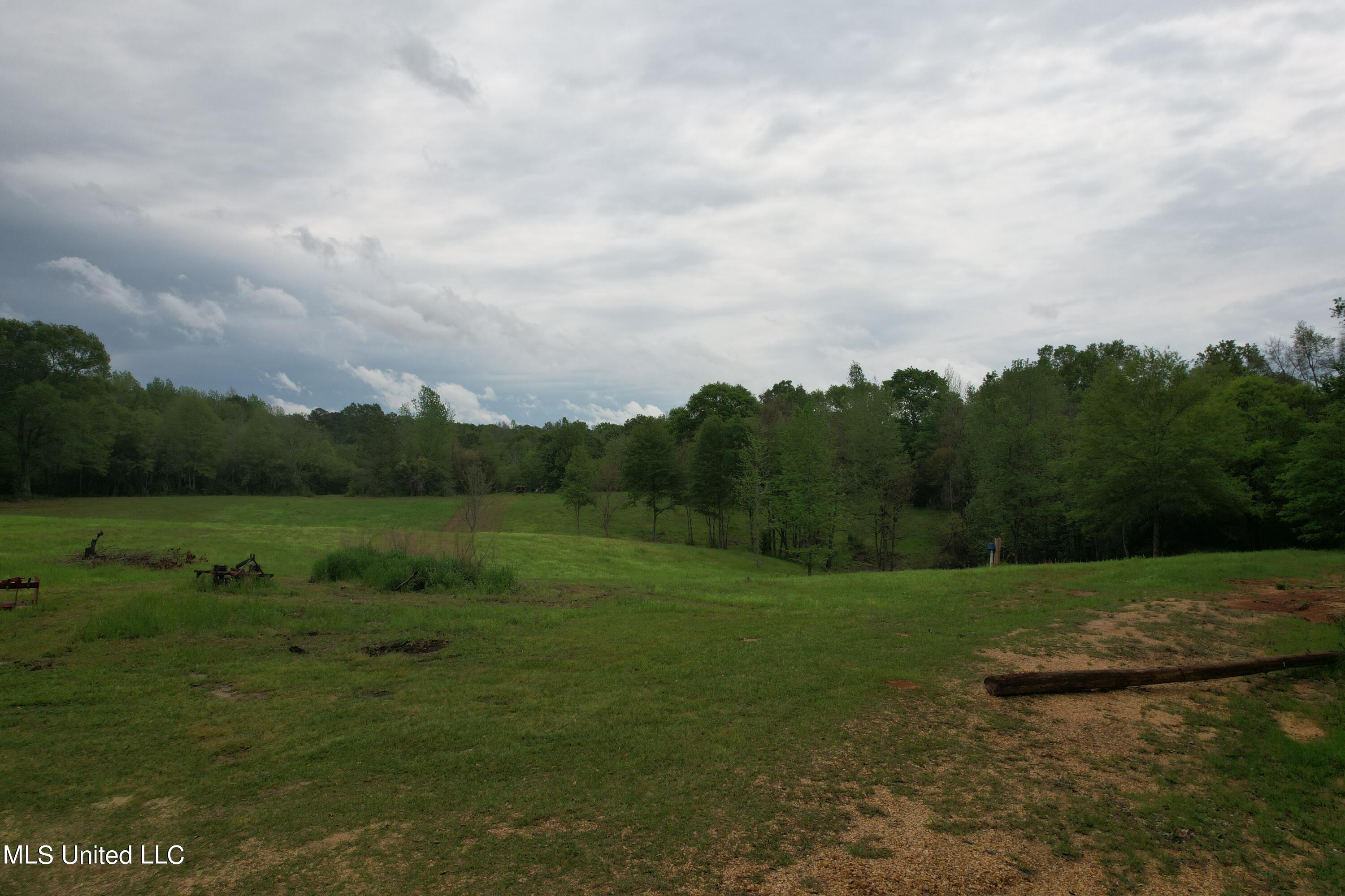 127 Burch Road Mendenhall, MS 39114 - Photo 13 of 21 DJI_0286