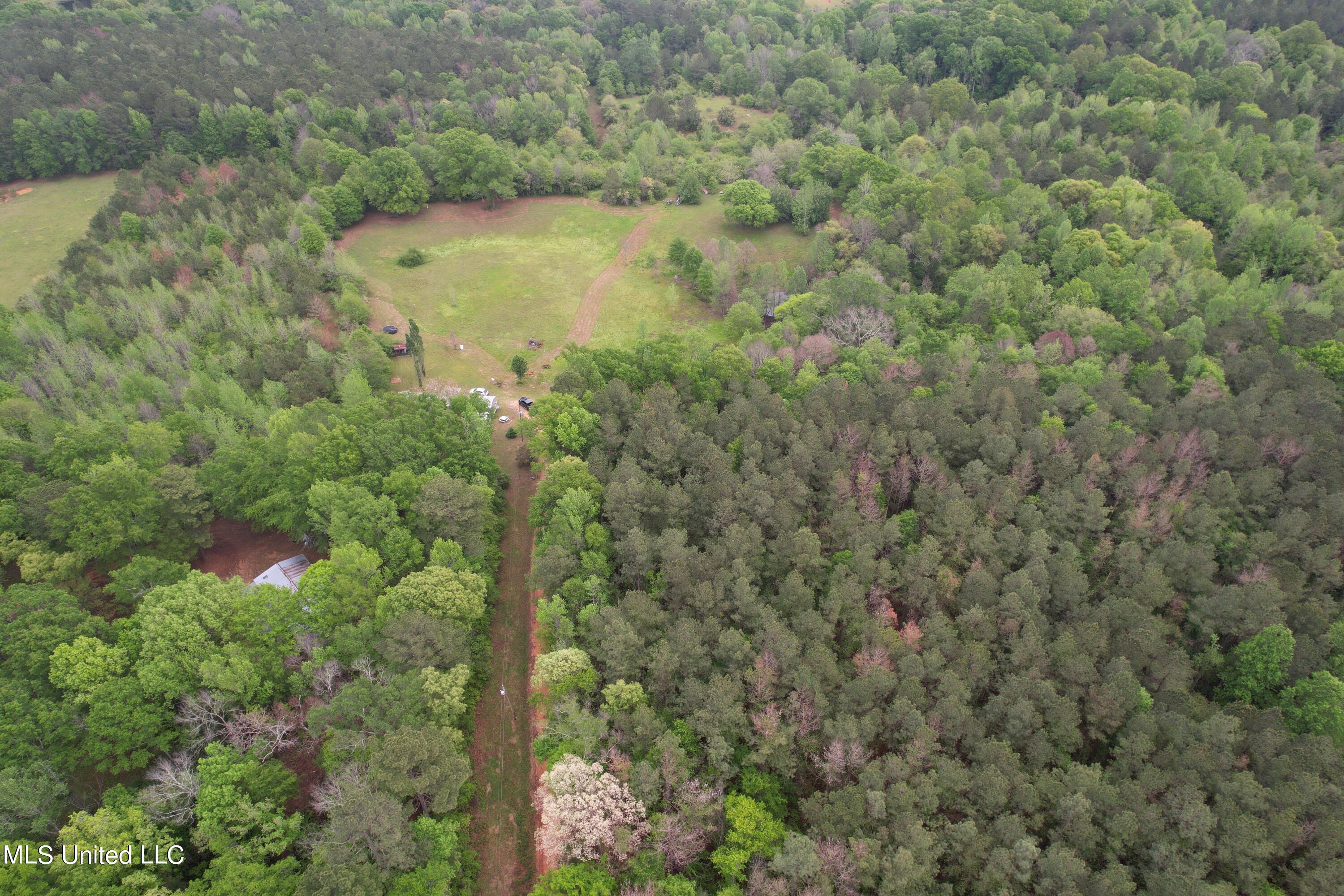 127 Burch Road Mendenhall, MS 39114 - Photo 17 of 21 DJI_0295