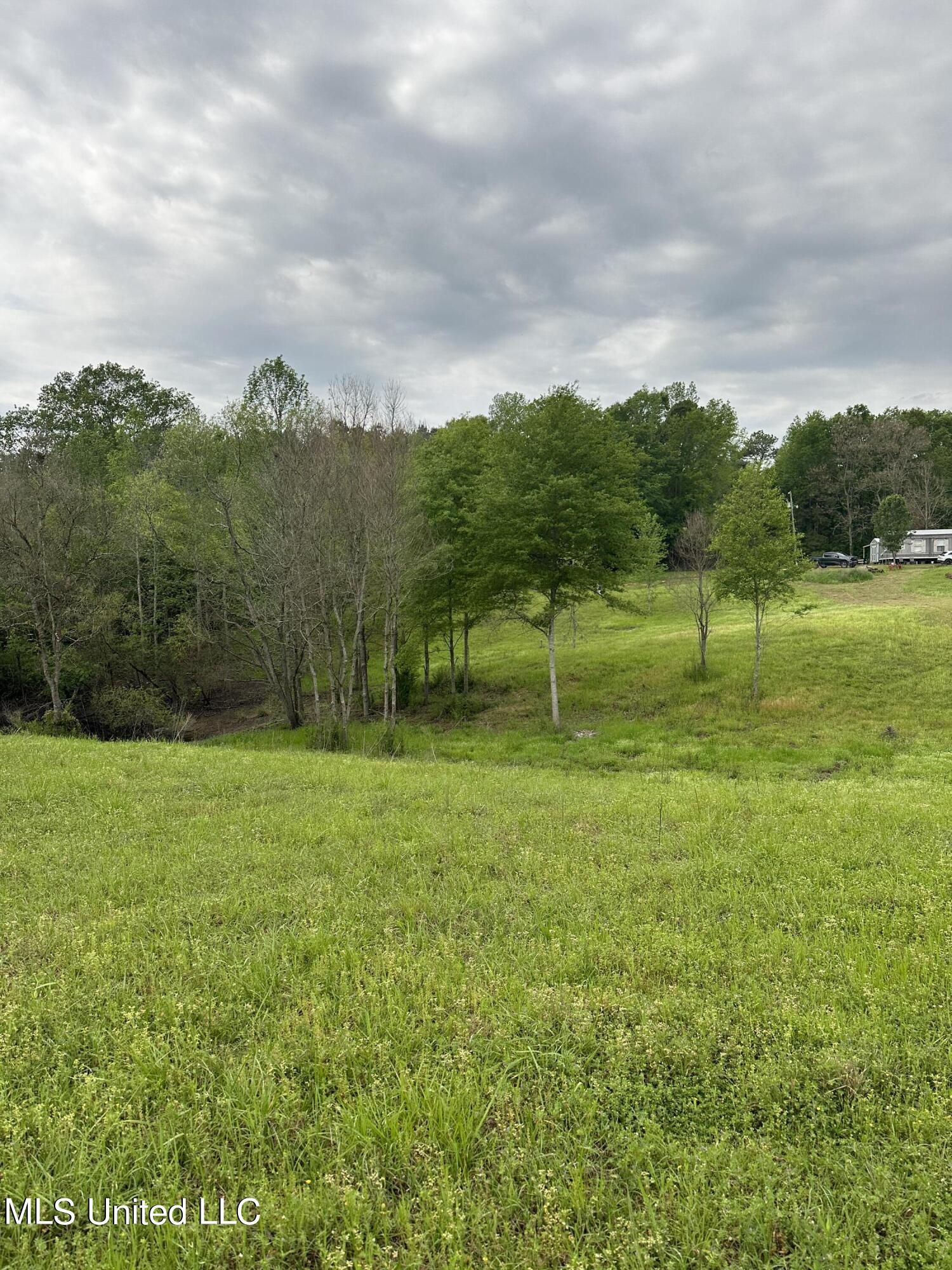 127 Burch Road Mendenhall, MS 39114 - Photo 3 of 21 IMG_1798
